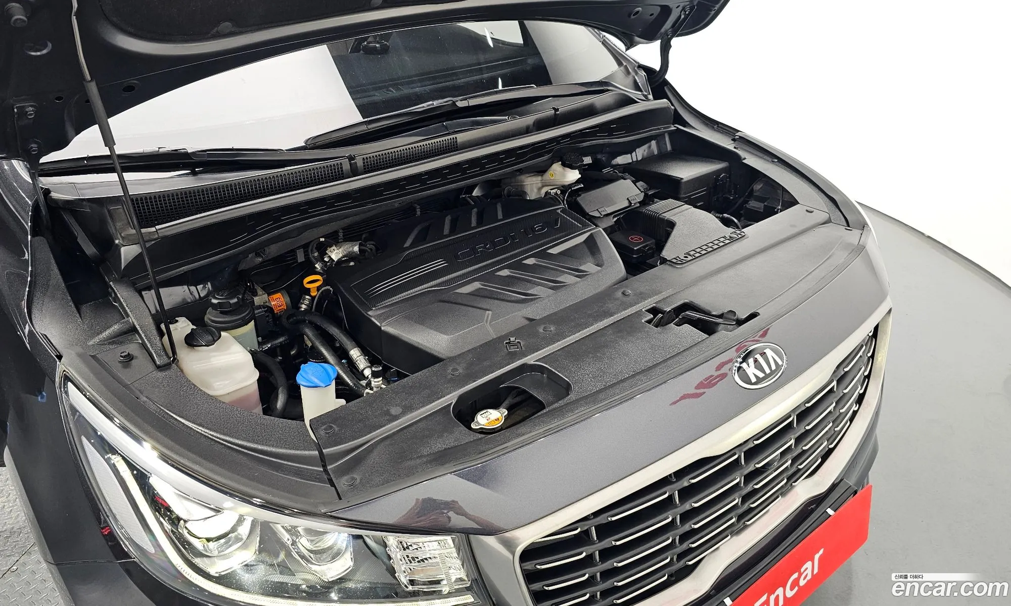 Kia Carnival Iii 9-Seater Noblesse Special 2019 - фотография 12551811