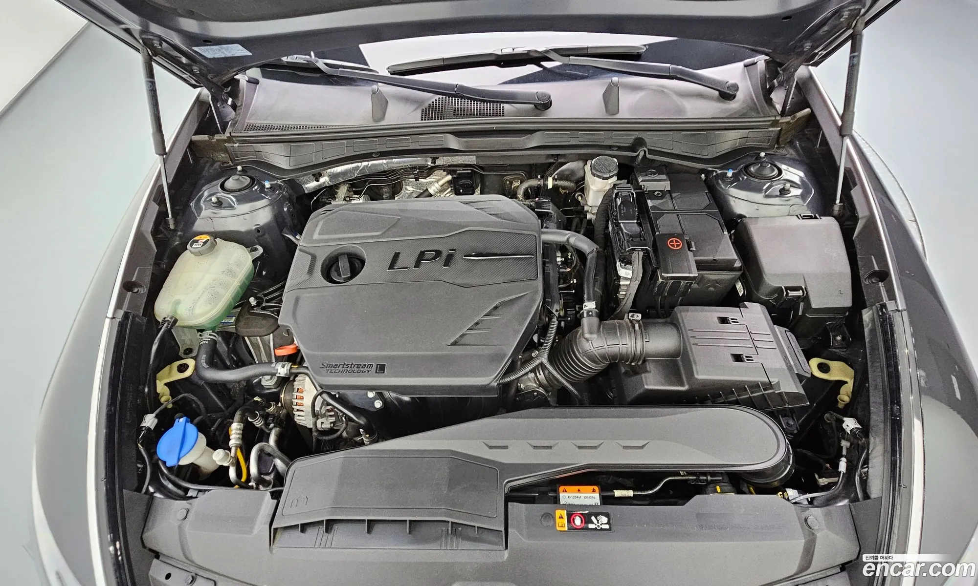 Hyundai Sonata Viii Dn8 20 Lpg For Rental Cars 2021 - фотография 15902812