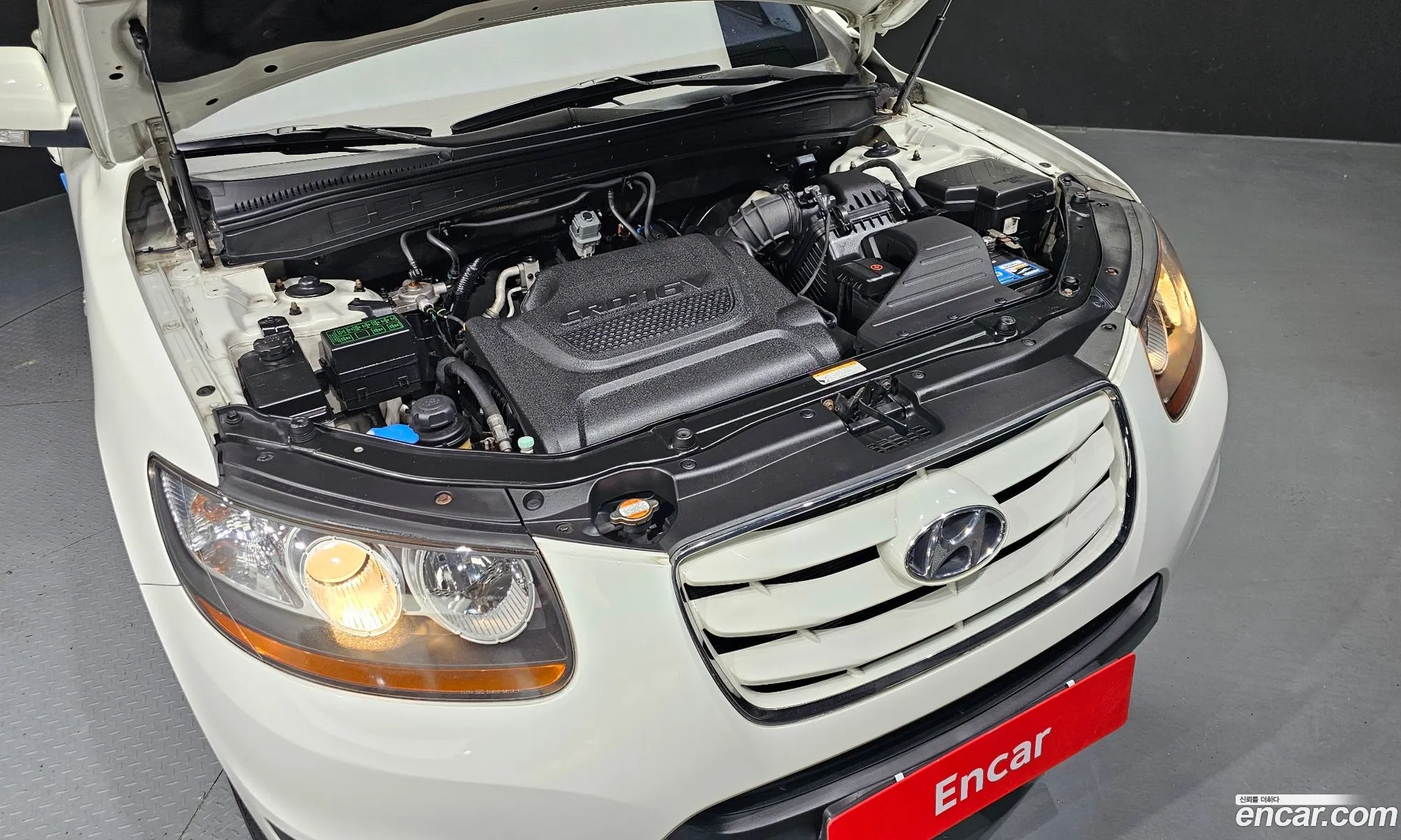 Hyundai Santa Fe 2Wd 20 E-Vgt Mlx 2010 - фотография 18471094
