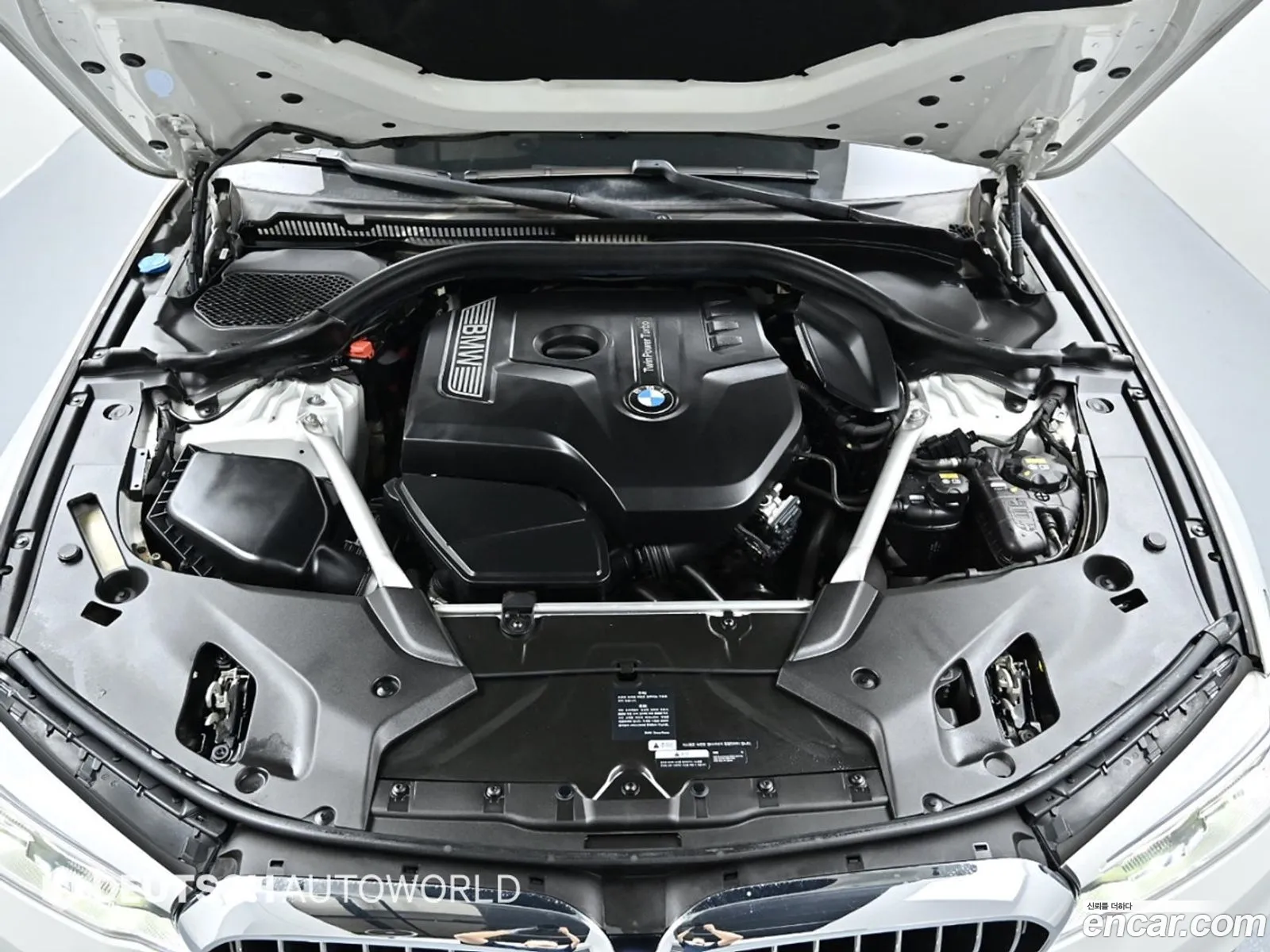 BMW 5 Series G30 530I xDrive Luxury Plus - фотография 84776