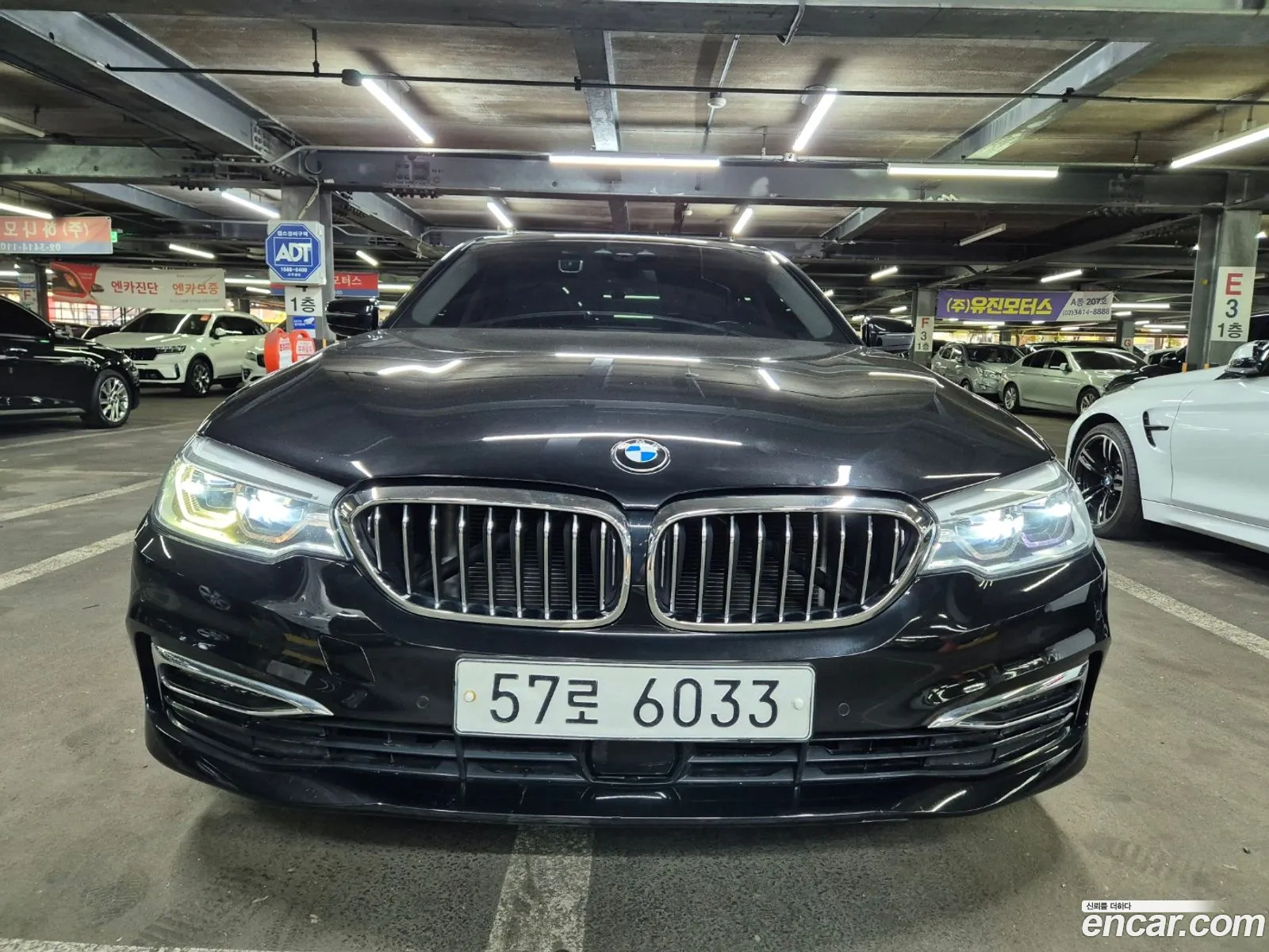BMW 5Er Vii G30G31 520D Luxury Plus 2019 - фотография 333511