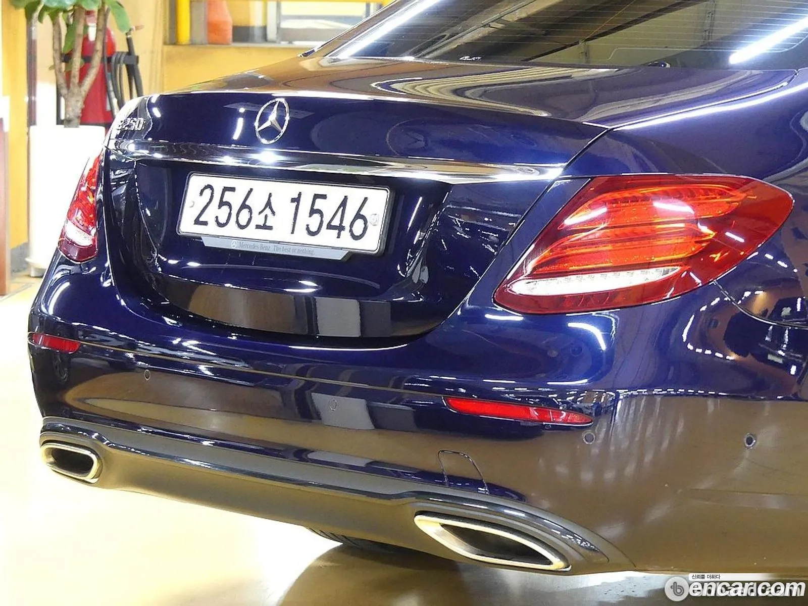 Mercedes-Benz E-Klasse V W213 S213 C238 E250 Avantgarde 2019 - фотография 12023048