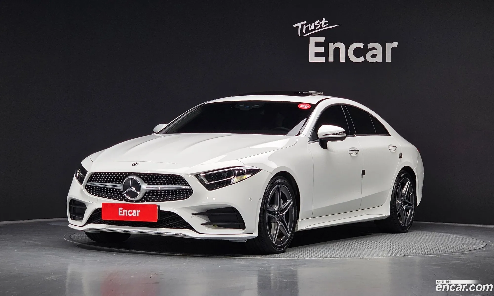 Mercedes-Benz Cls-Klasse Iii C257 Cls300D Amg Line 2020 - фотография 12959898