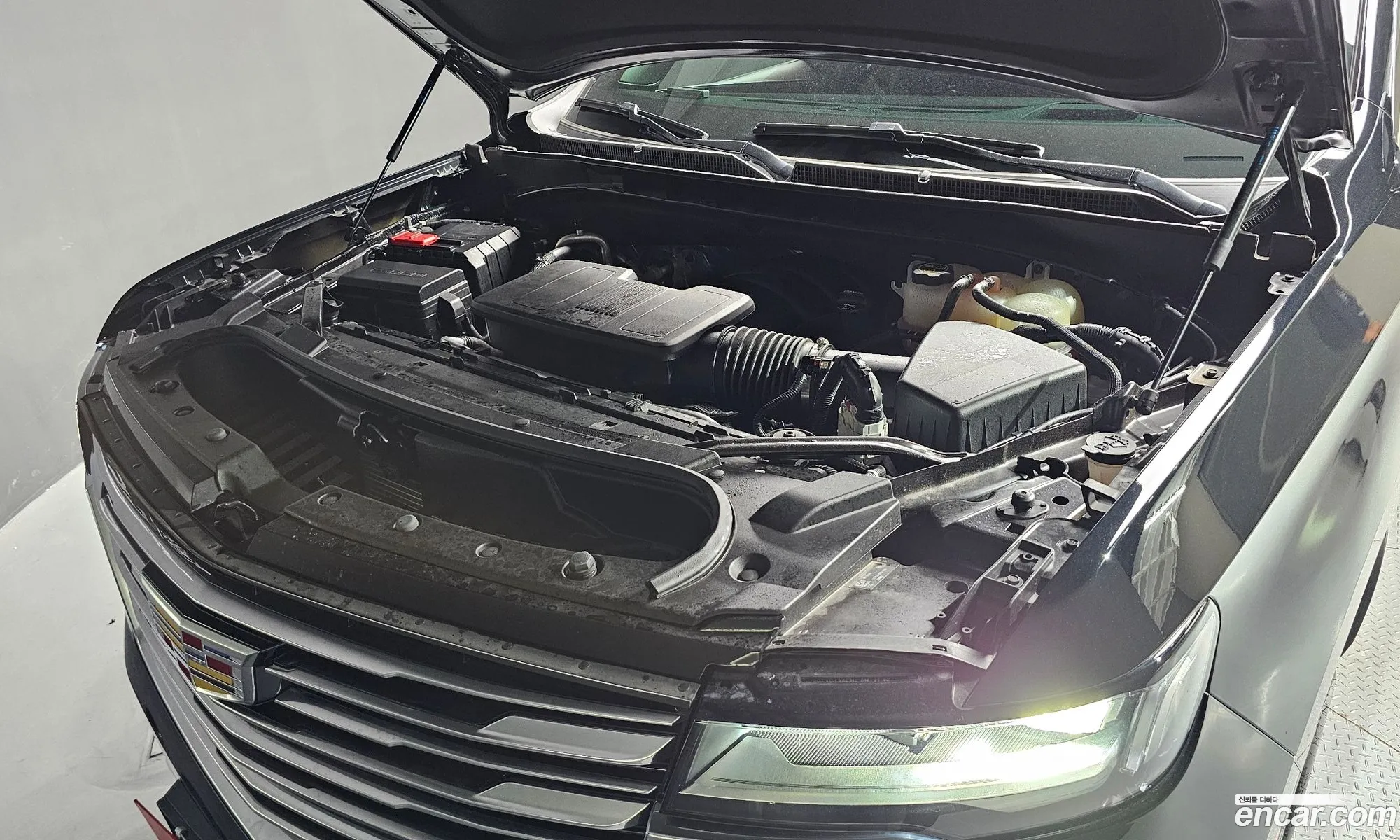 Cadillac Escalade 62 2023 - фотография 3708388