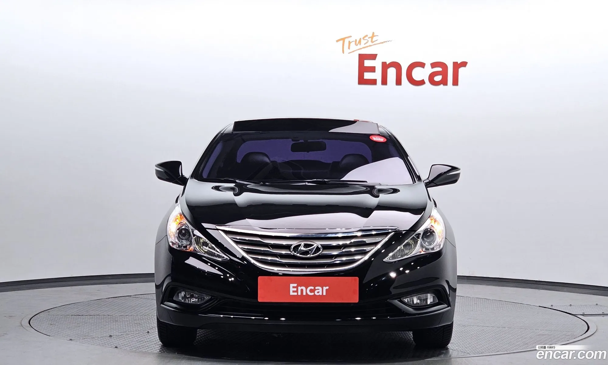 Hyundai Sonata Lpi Premier For The Disabled 2012 - фотография 15703046
