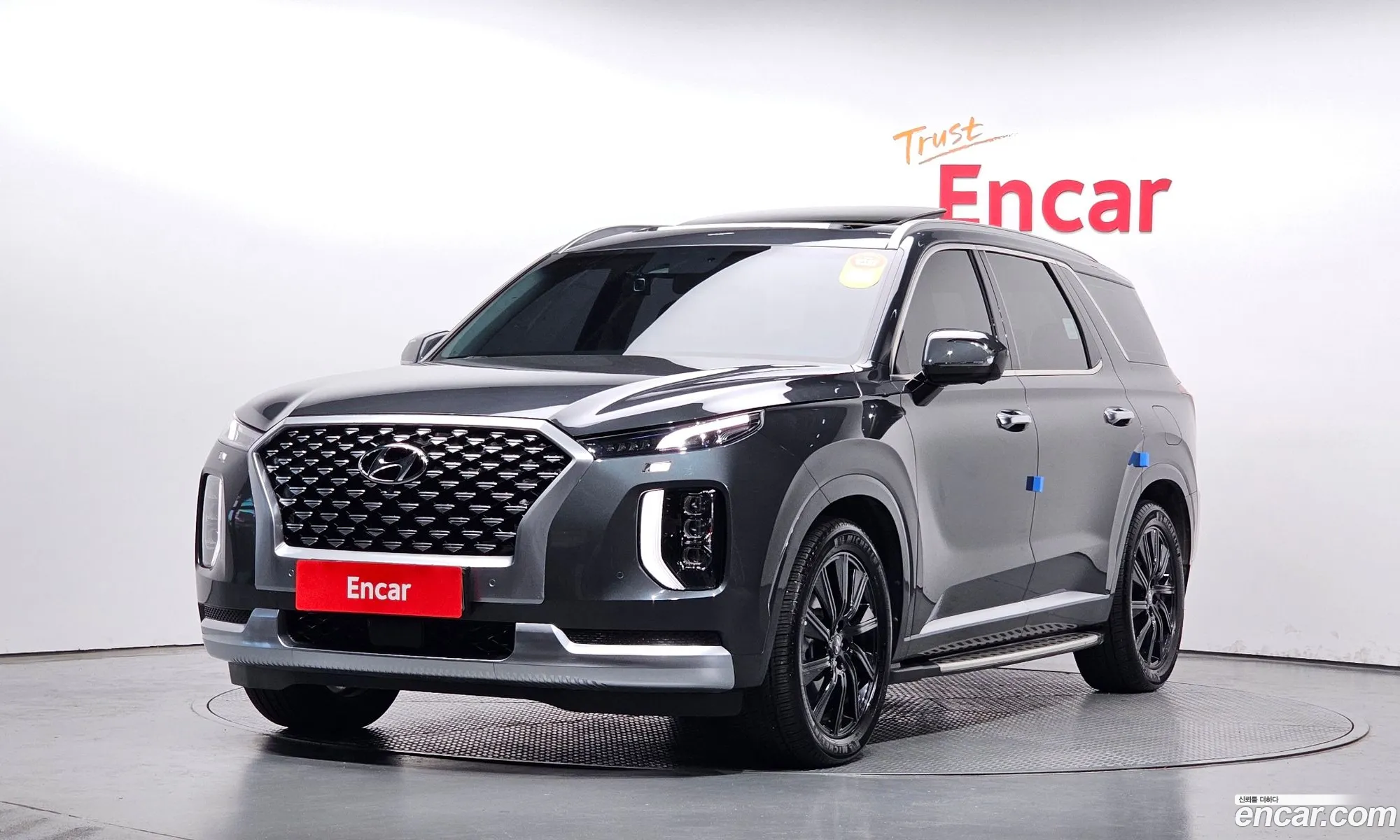 Hyundai Palisade I Gasoline 38 4Wd 2021 - фотография 12238366