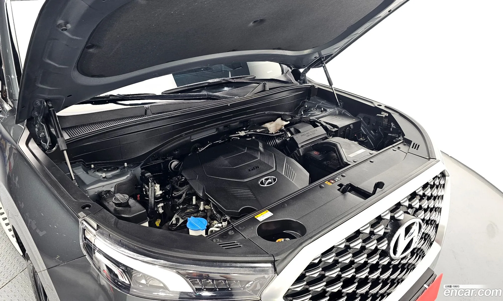 Hyundai Palisade I Gasoline 38 4Wd 2021 - фотография 12238371
