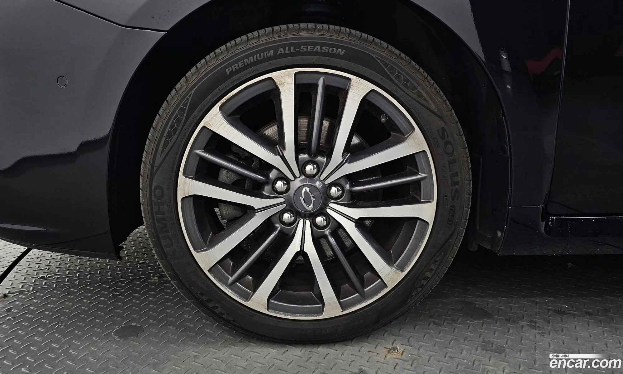 Renault Samsung Sm7 Lpli 20 Lpe For The Disabled 2017 - фотография 3462021