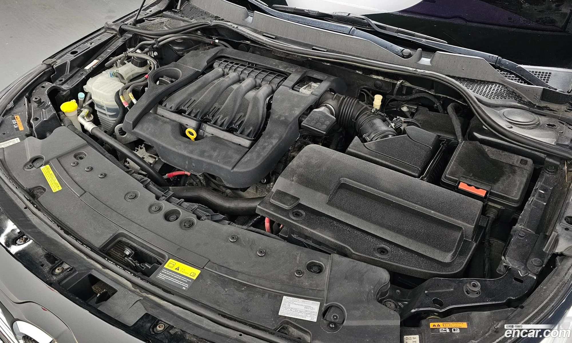 Renault Samsung Sm7 Lpli 20 Lpe For The Disabled 2017 - фотография 3462022