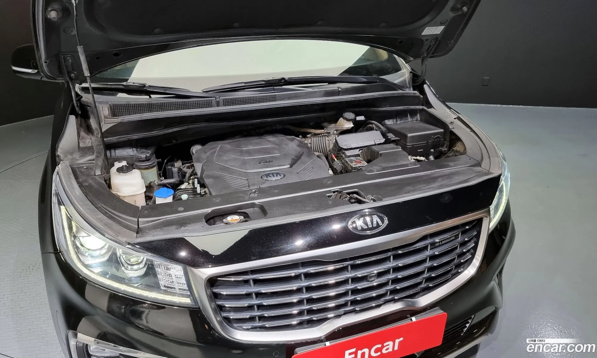Kia Carnival Iii Gasoline 9-Seater High Limousine 2019 - фотография 11309807