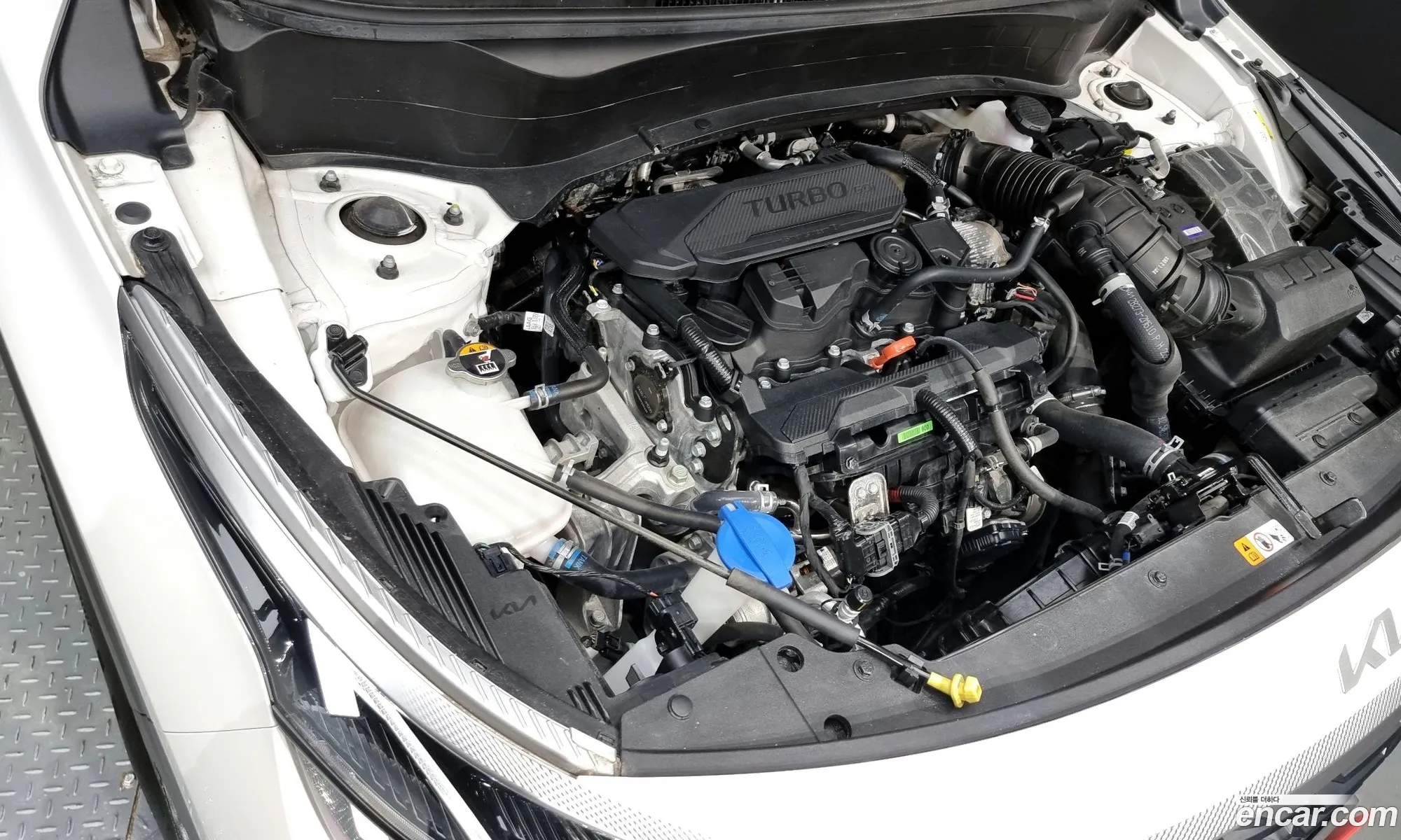 Kia Seltos Gasoline 16 Turbo 2Wd 2023 - фотография 19973063
