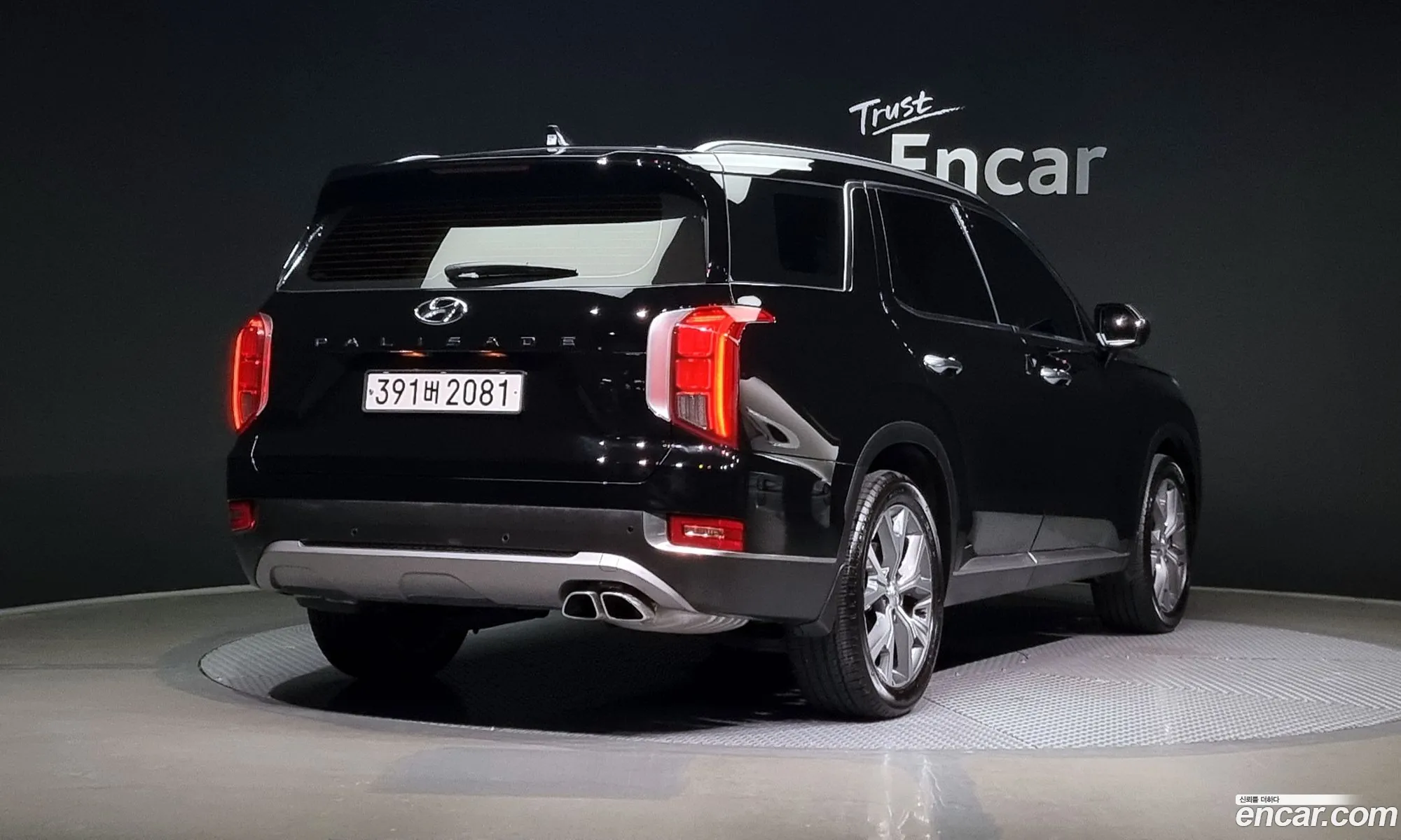 Hyundai Palisade I Diesel 22 2Wd 2022 - фотография 14412818