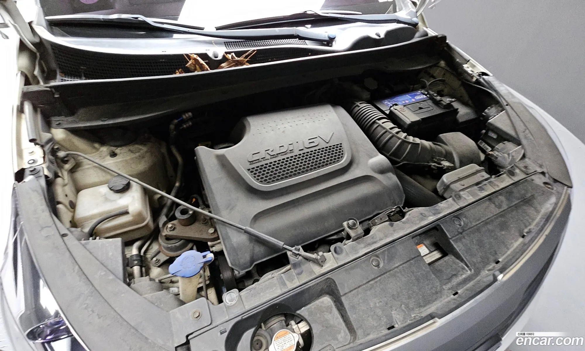 Kia Sportage Iii Diesel 2Wd Tlx 2011 - фотография 11831381