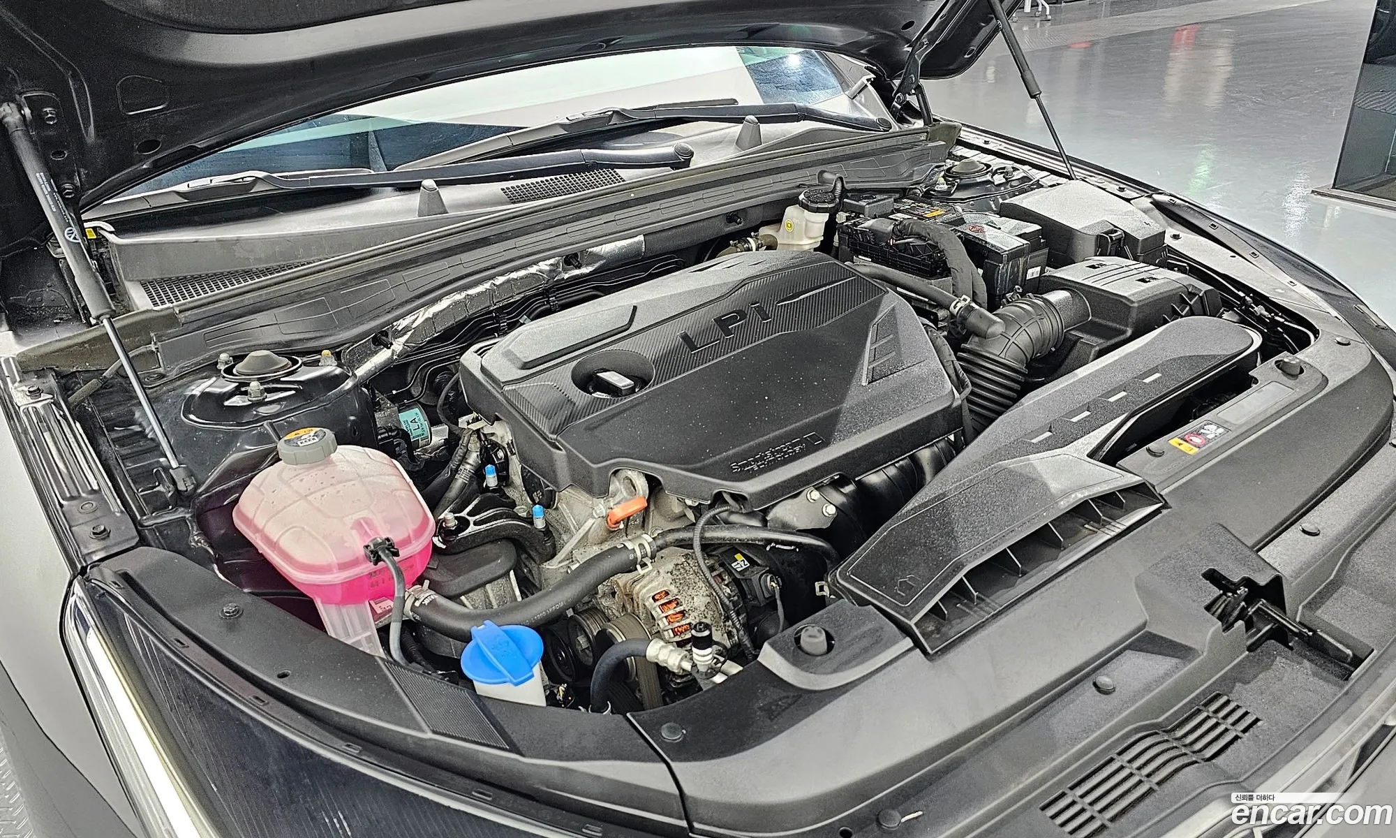 Kia K5 Iii 20 Lpi For Rental Cars 2021 - фотография 13409676