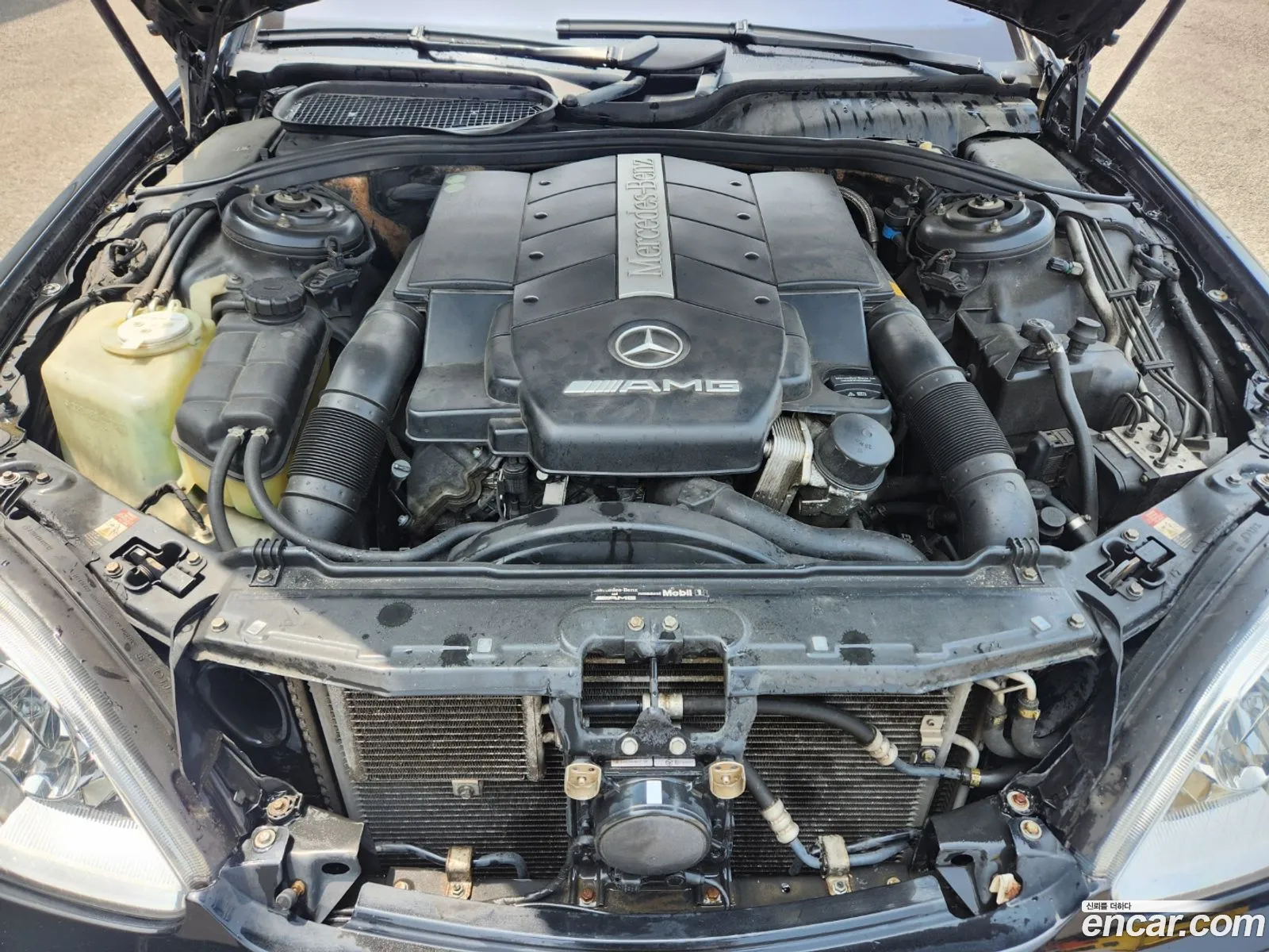 Mercedes-Benz S-Klasse Iv W220 S55L Amg 2002 - фотография 12634382