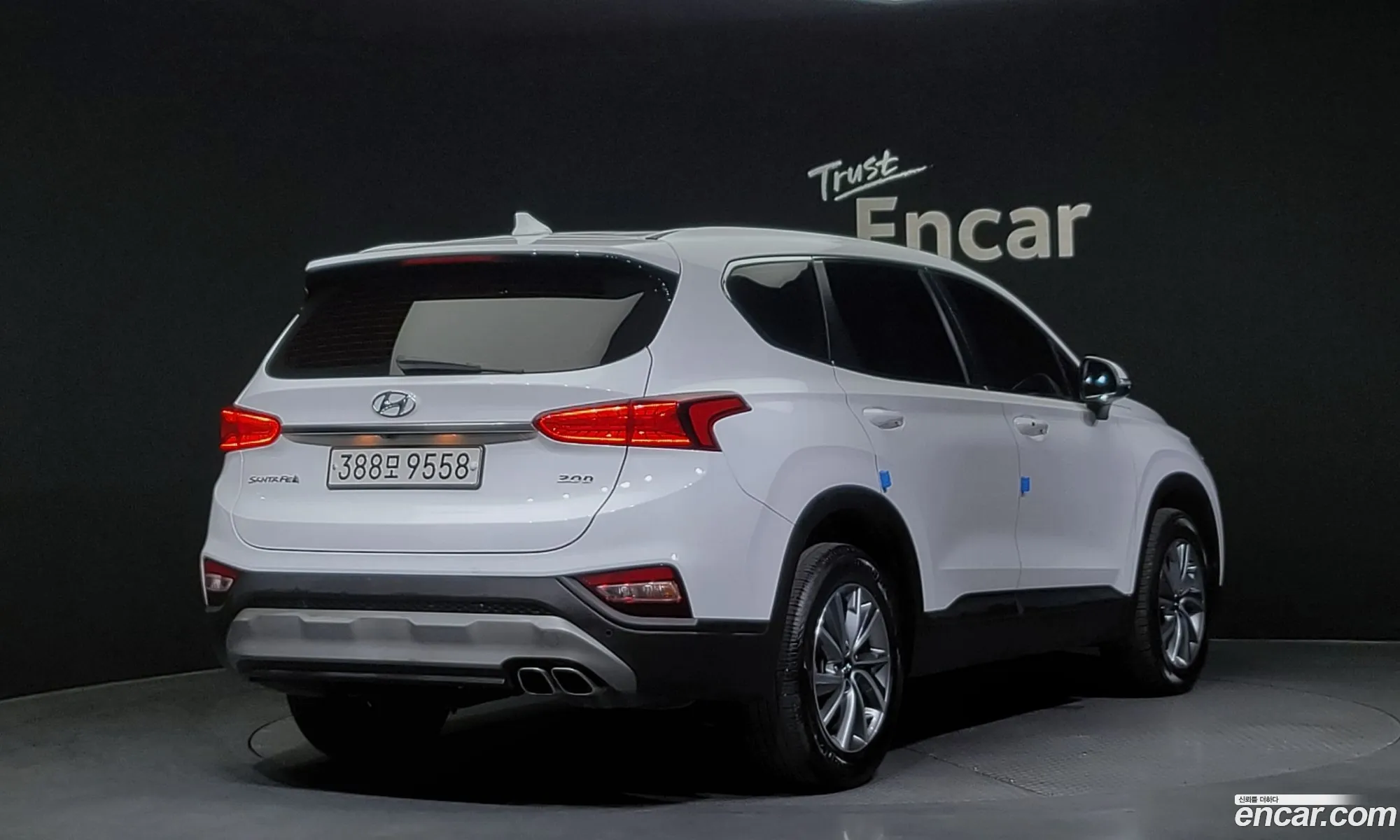 Hyundai Santa Fe Diesel 20 2Wd 2019 - фотография 18396193