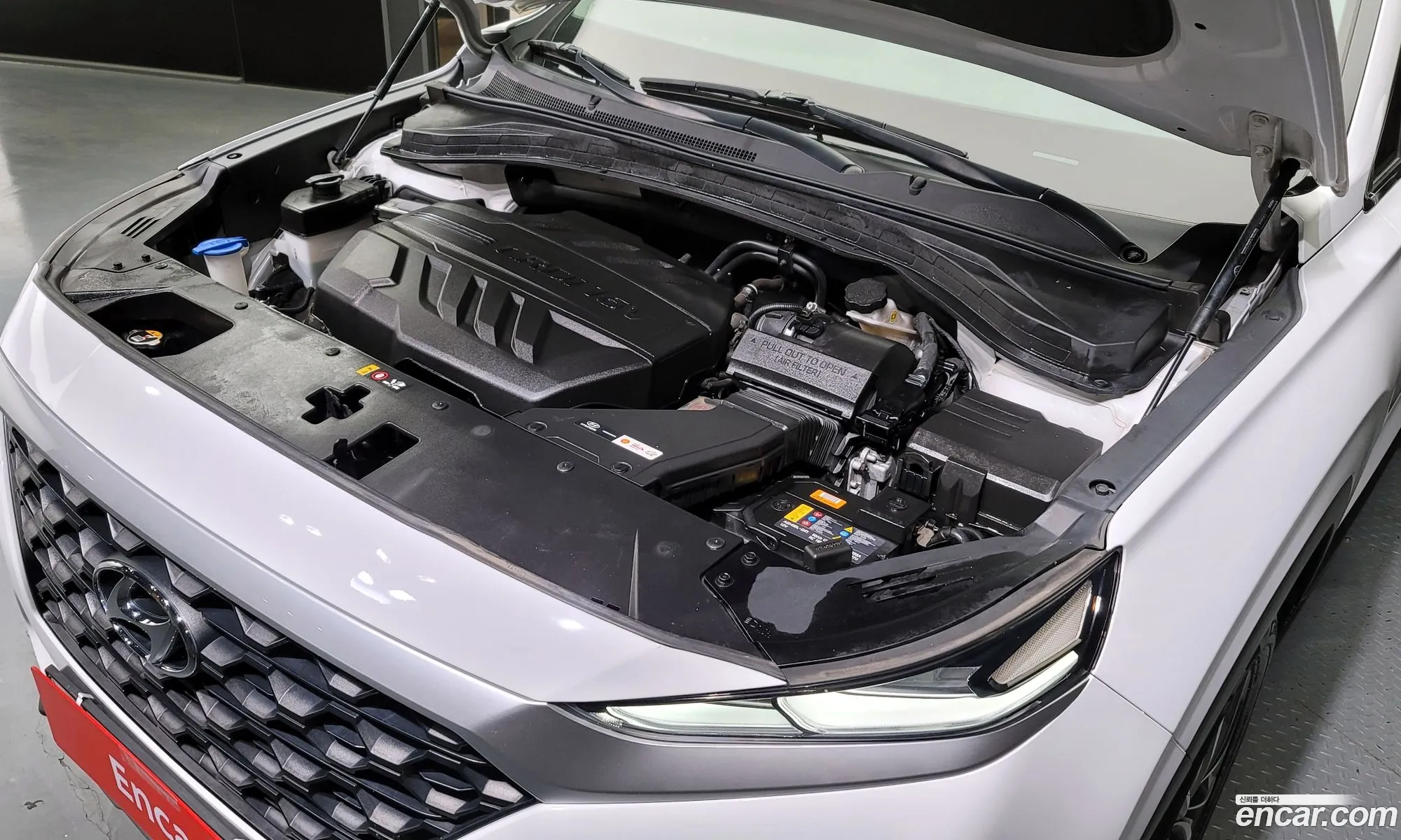 Hyundai Santa Fe Diesel 20 2Wd 2019 - фотография 18396197