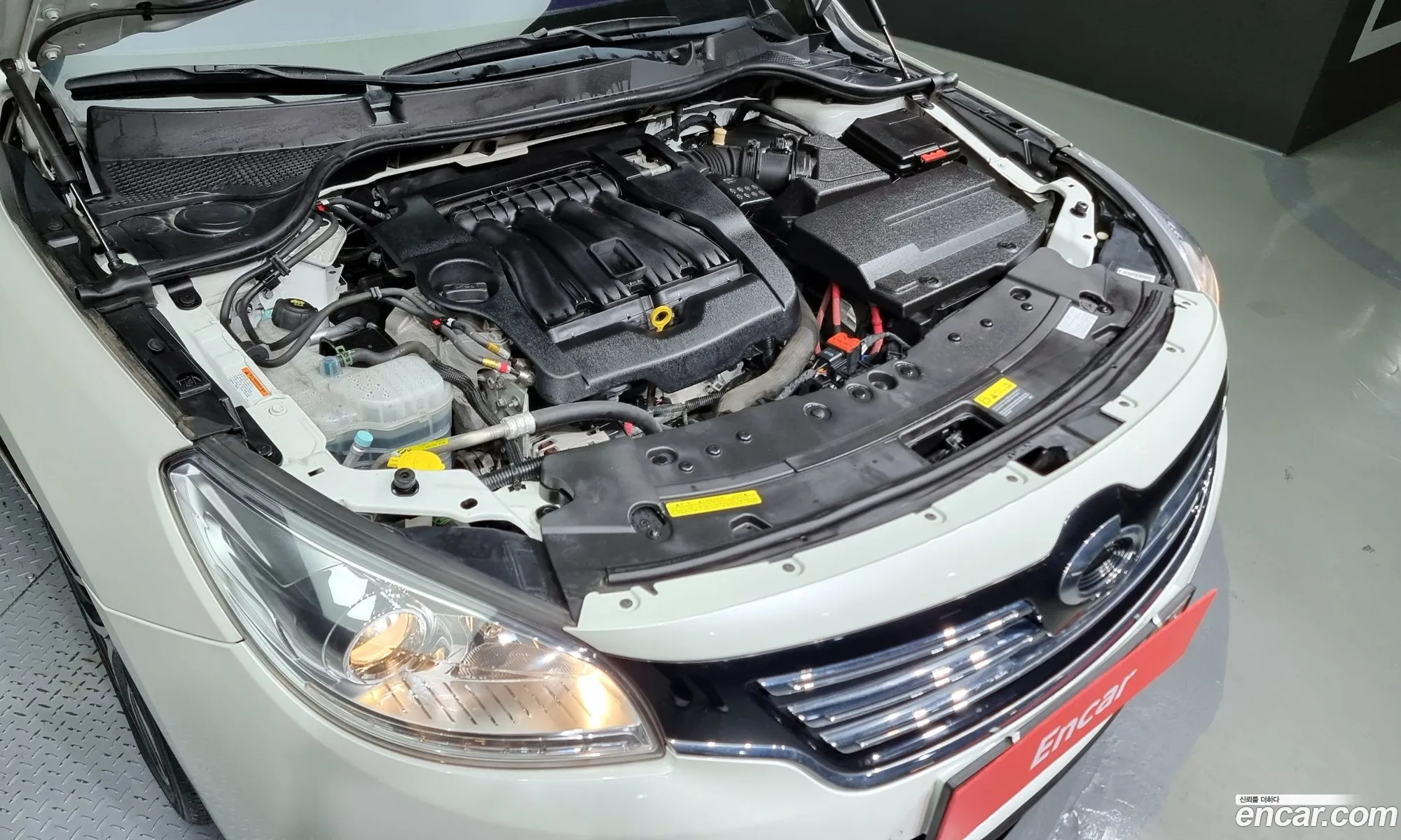 Renault Korea Samsung Sm7 Nova Lpli 20 Lpe For The Disabled - фотография 7197396