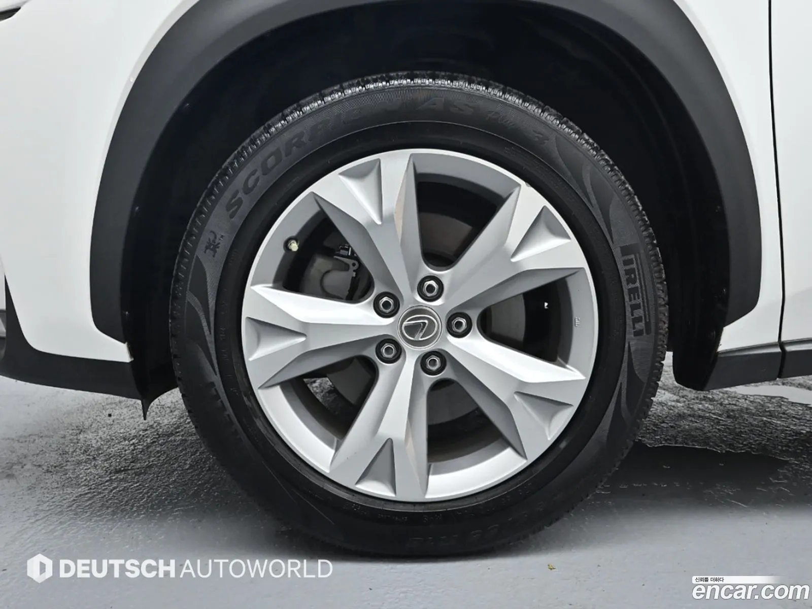 Lexus Nx300H Executive - фотография 3720880