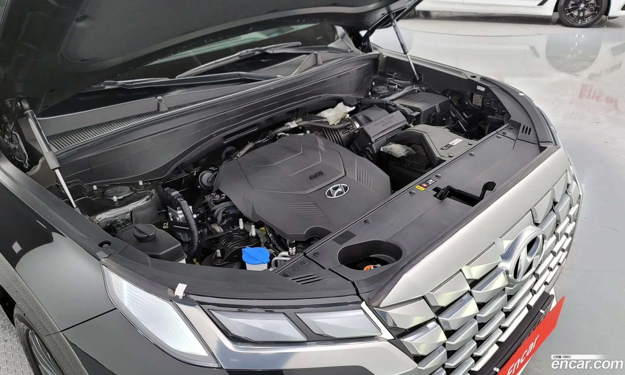 Hyundai Palisade Gasoline 38 4Wd 2023 - фотография 12101972