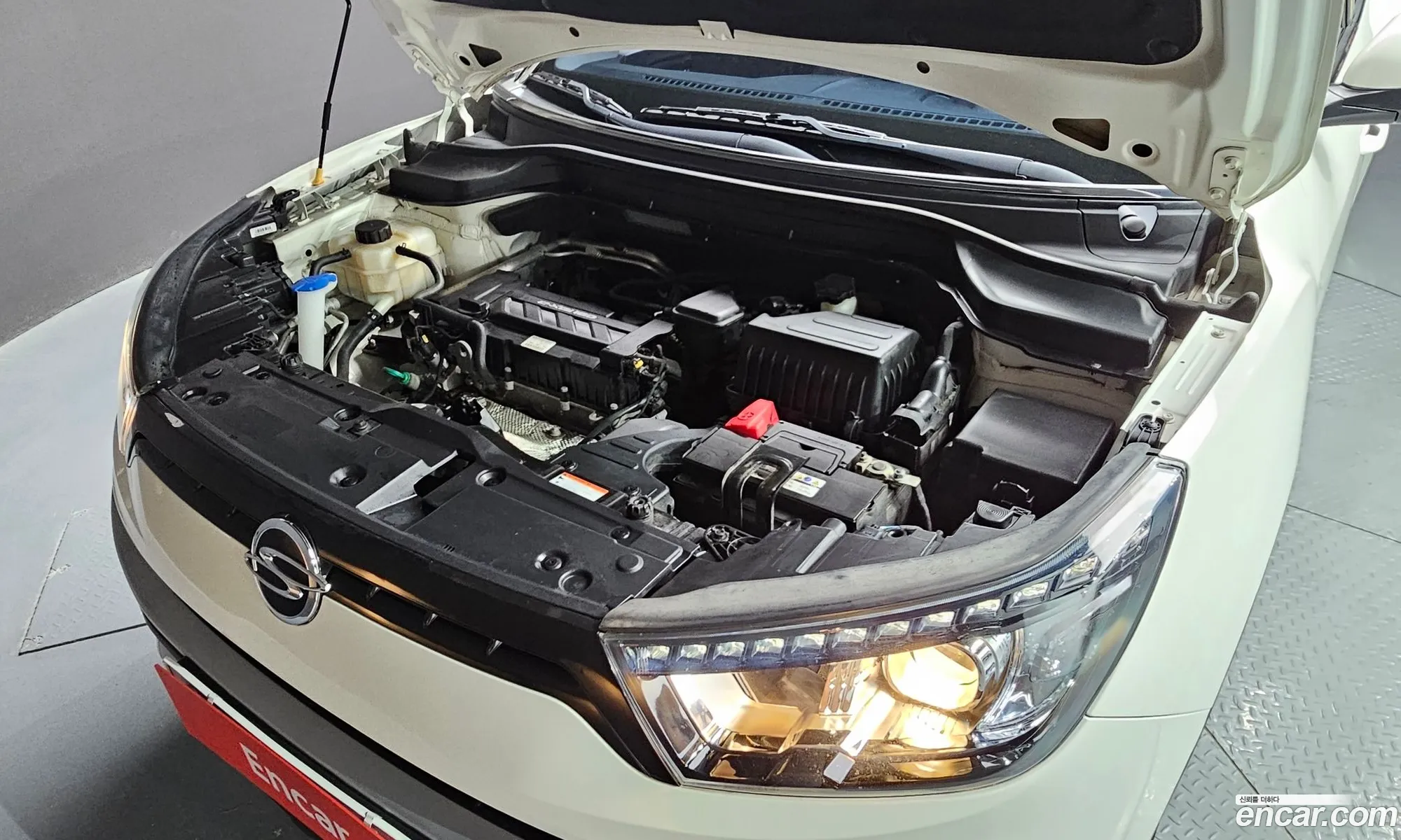 Ssangyong Tivoli Tivoli 16 Ix 2Wd 2019 - фотография 16843781