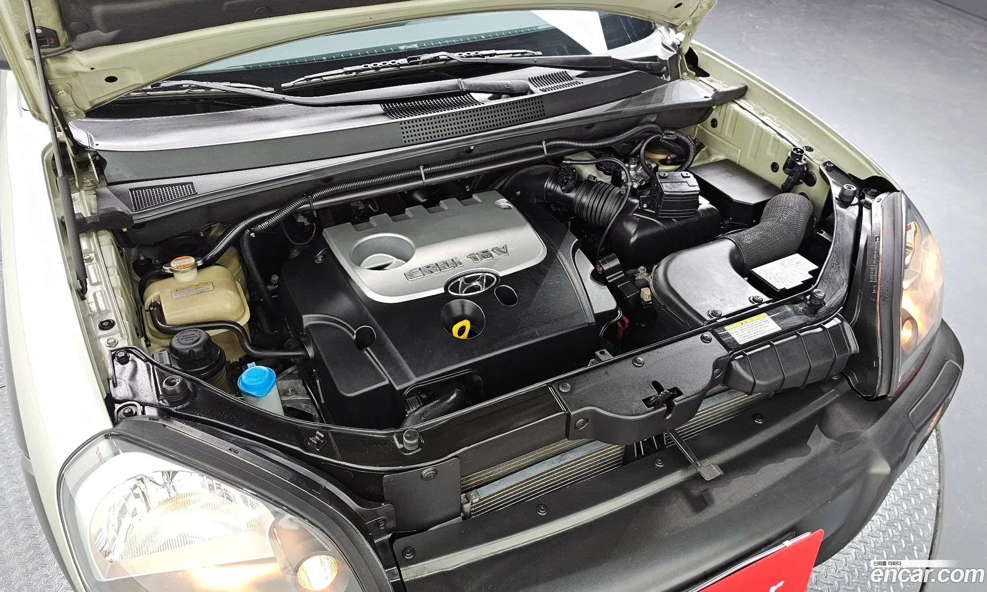 Hyundai Tucson I Diesel Crdi 2Wd Mx 2004 - фотография 16327681