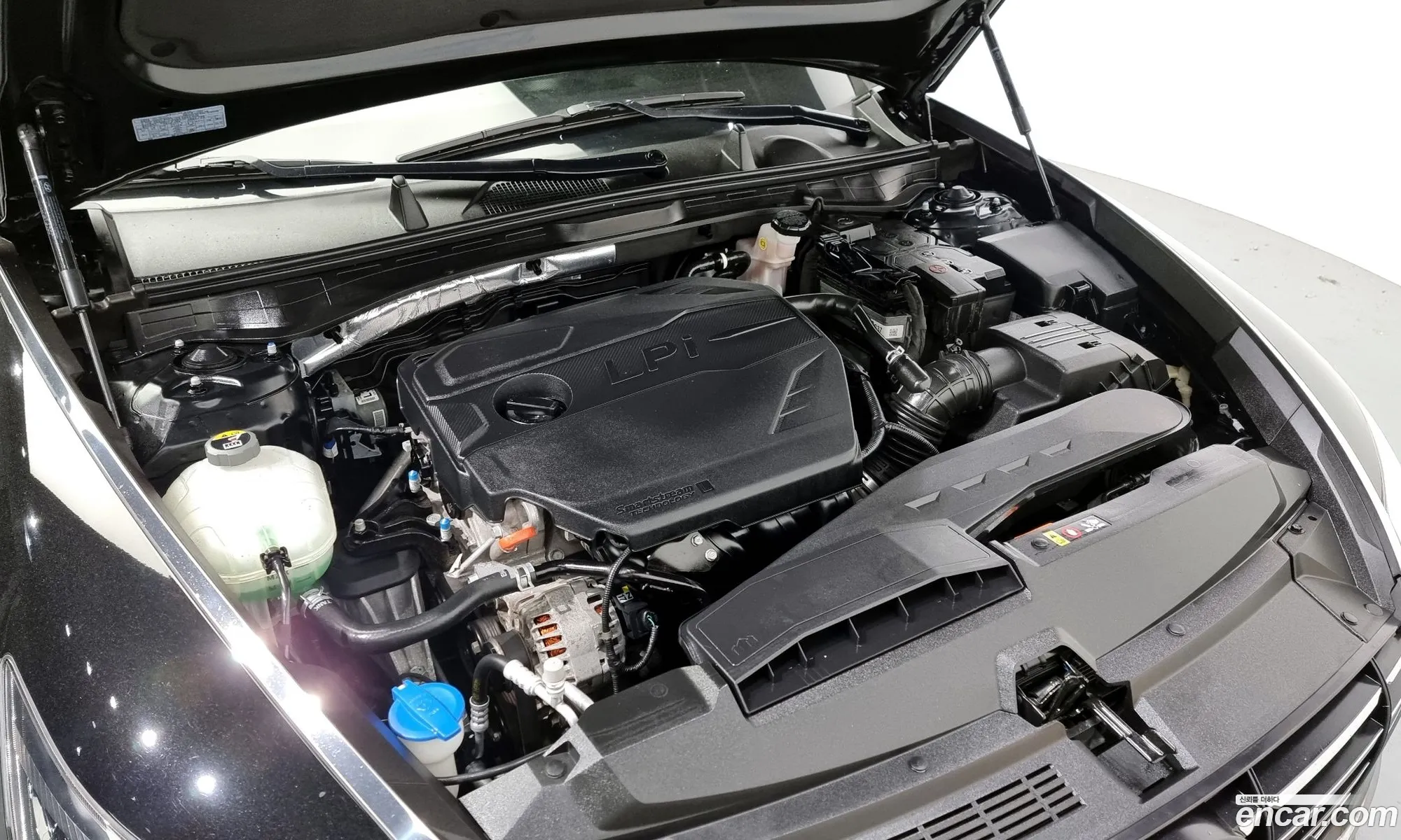 Hyundai Sonata Viii Dn8 20 Lpg For Rental Cars 2020 - фотография 19150775