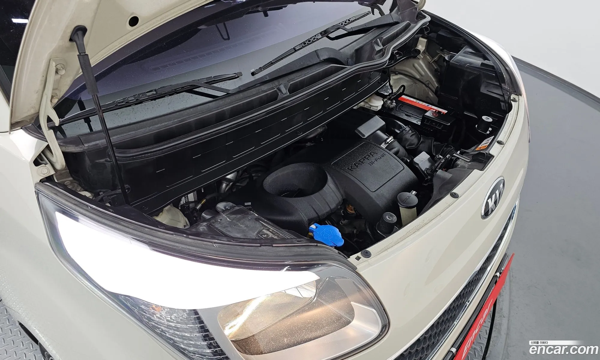 Kia Ray Prestige Bi-Fuel - фотография 14537901