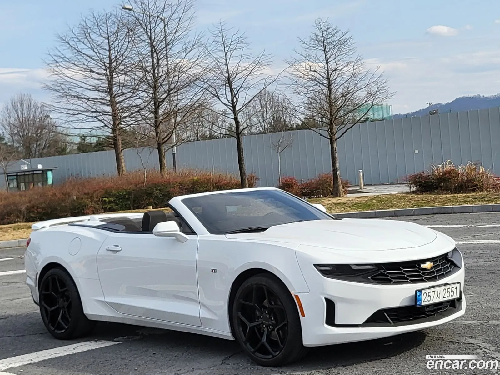 Chevrolet Camaro Vi 20 Convertible 2019 - фотография 7522212