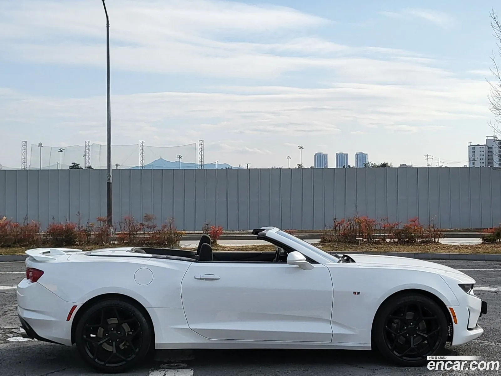 Chevrolet Camaro Vi 20 Convertible 2019 - фотография 7522214