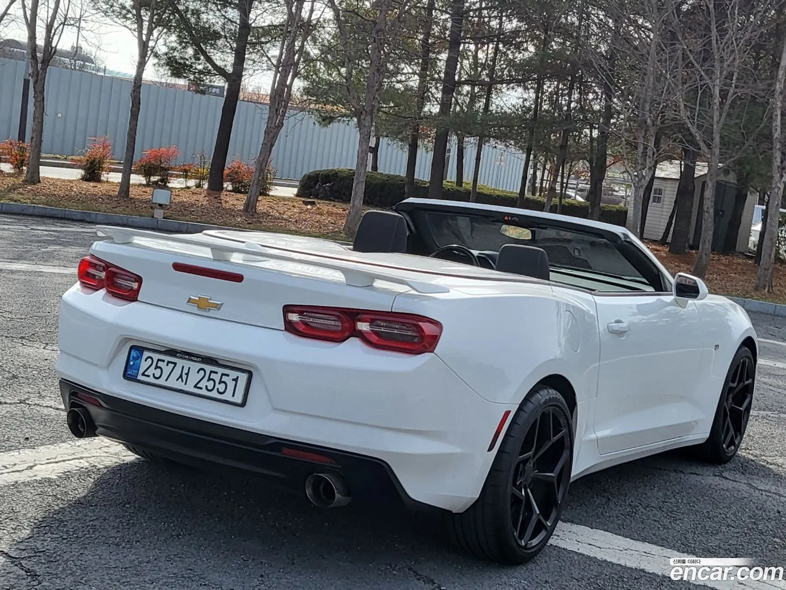 Chevrolet Camaro Vi 20 Convertible 2019 - фотография 7522215