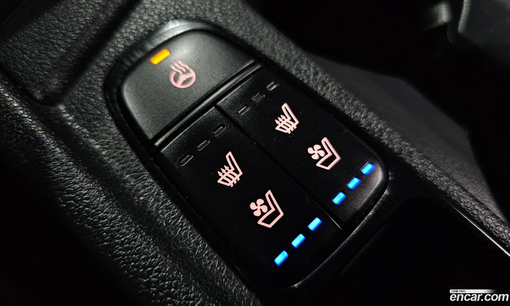 Korex Auto Trade - фотография 12481876