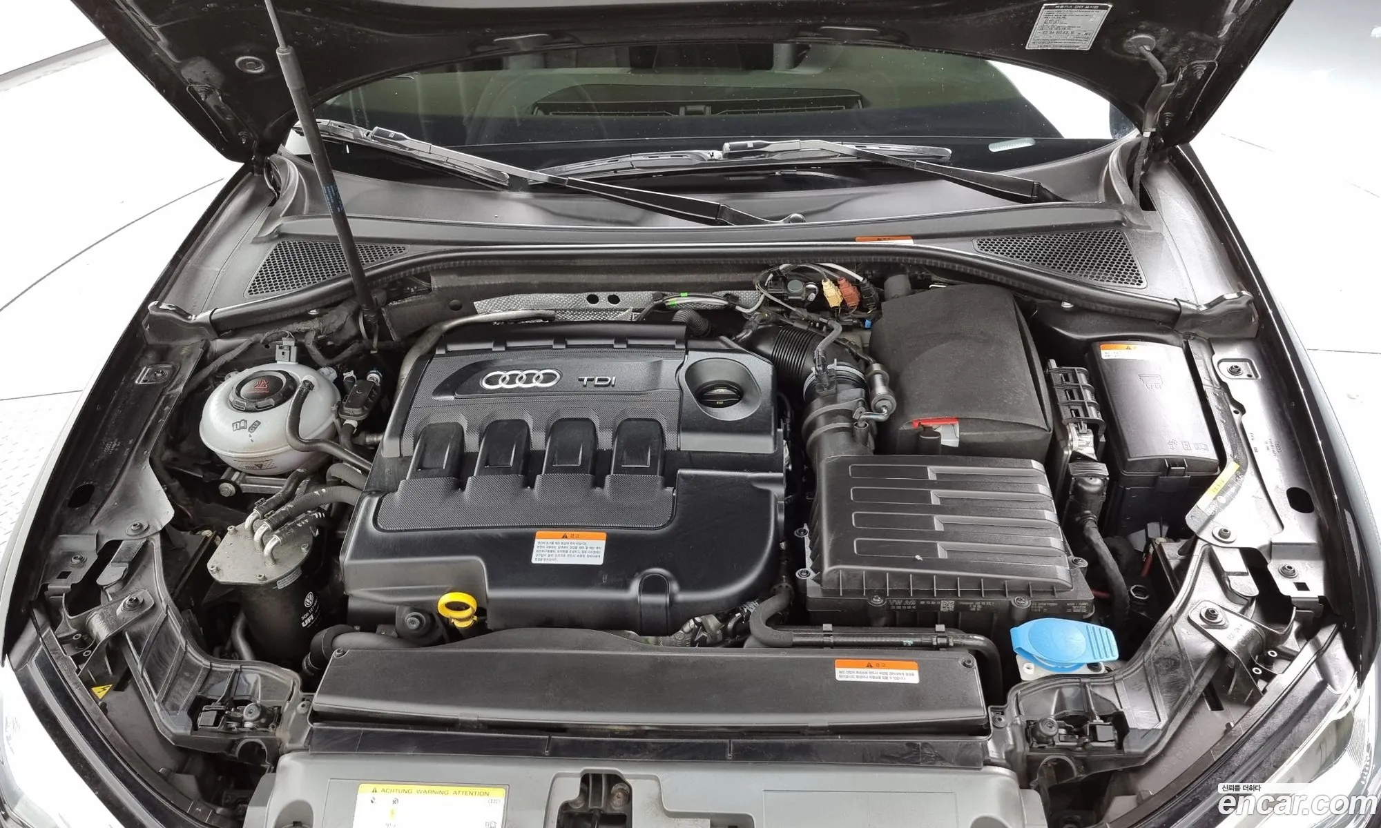 Audi A3 Iii 8V 35 Tdi Dynamic Sportback 2015 - фотография 668026
