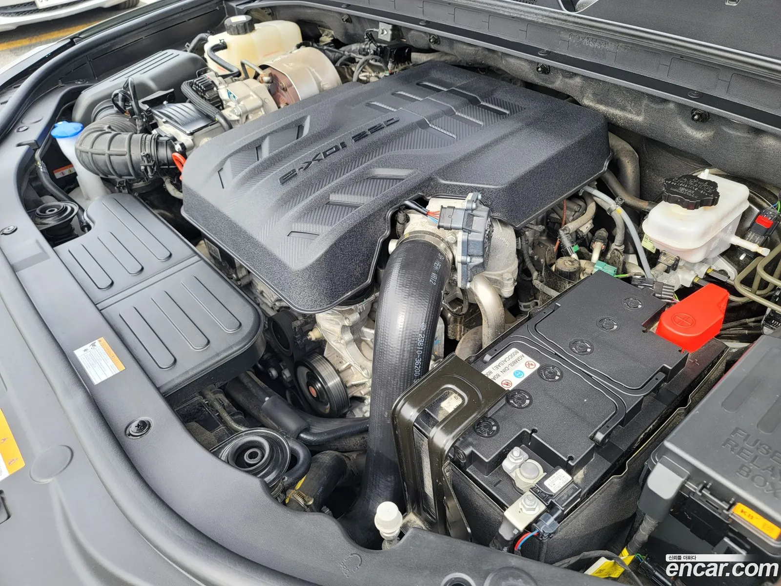 Ssangyong Rexton Iv Diesel 22 4Wd 2022 - фотография 14383792