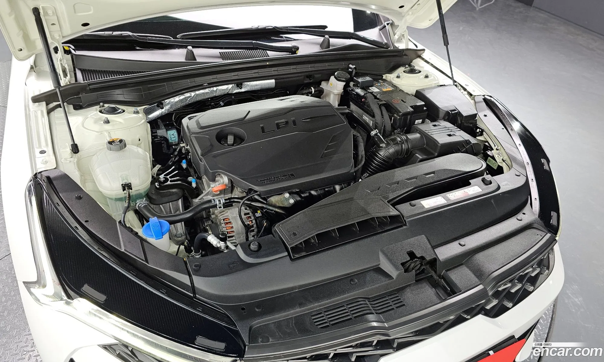 Kia K5 Ii 20 Lpi For Rental Cars 2020 - фотография 11846972