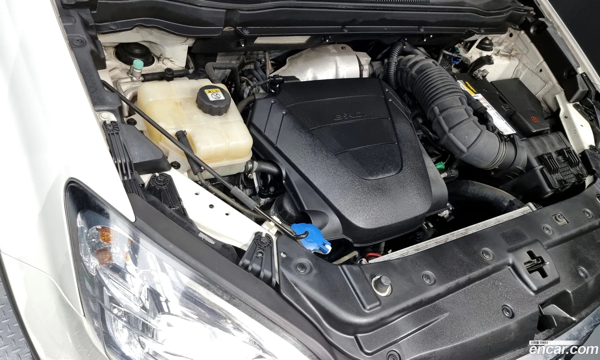 Ssangyong Korando Iii 22 Extreme 2Wd 2016 - фотография 14636611