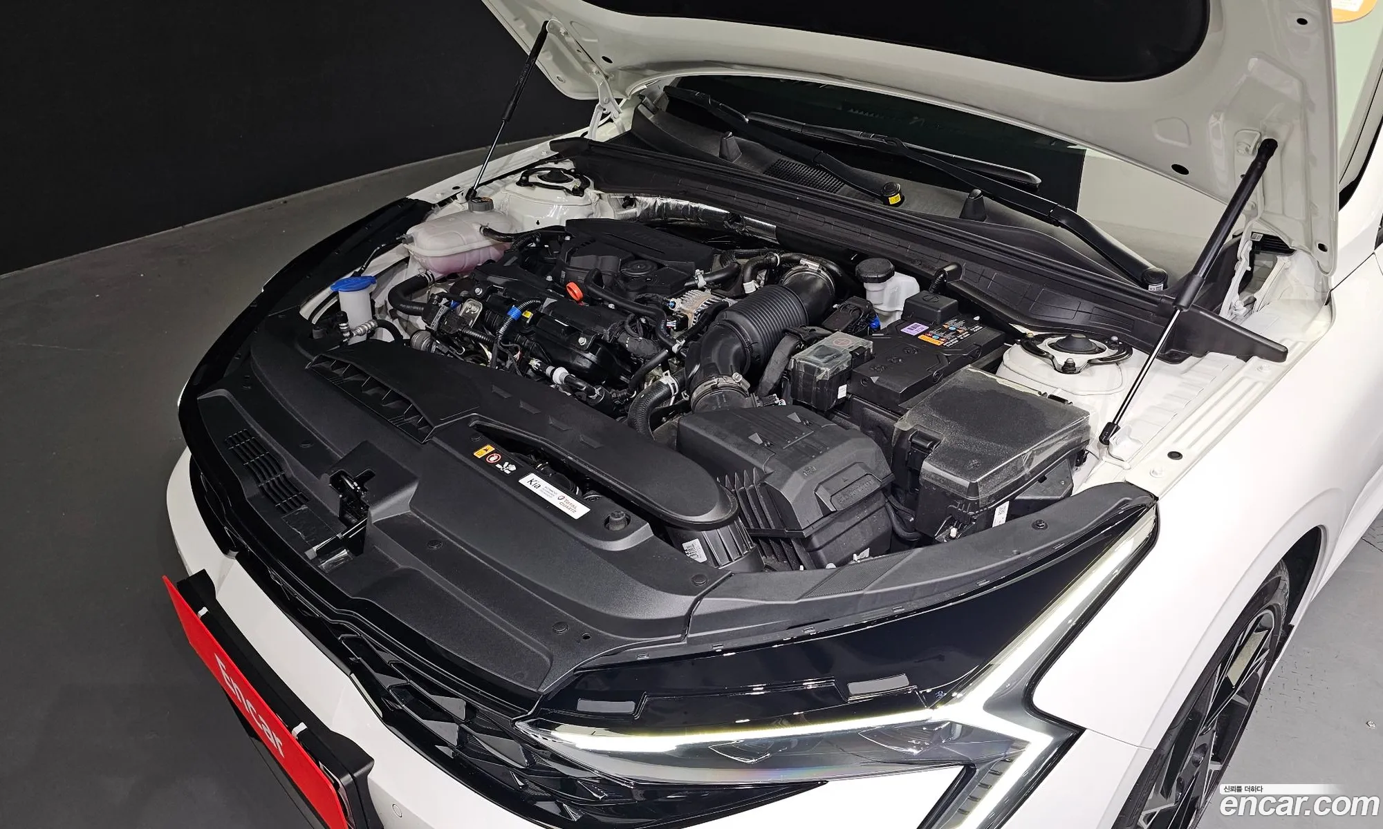 Kia K5 16 Turbo 2024 - фотография 14400338