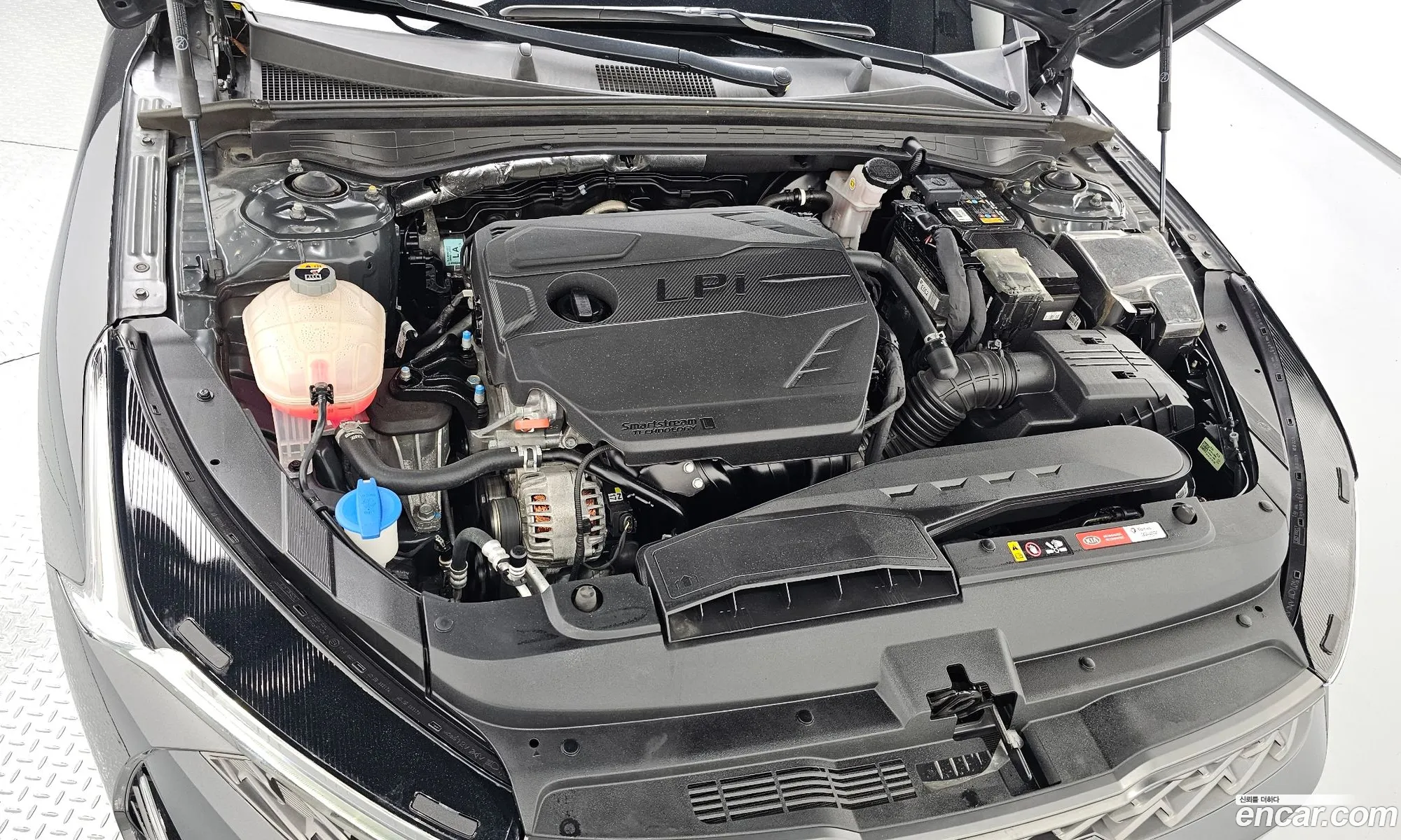 Kia K5 3Rd Generation 20 Lpi Rental Car Standard - фотография 12457175
