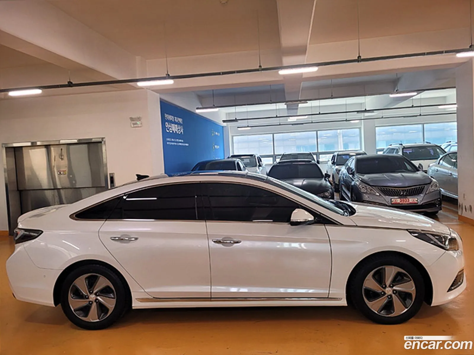 Hyundai Lf Sonata Hybrid 20 Hev Premium - фотография 12749994