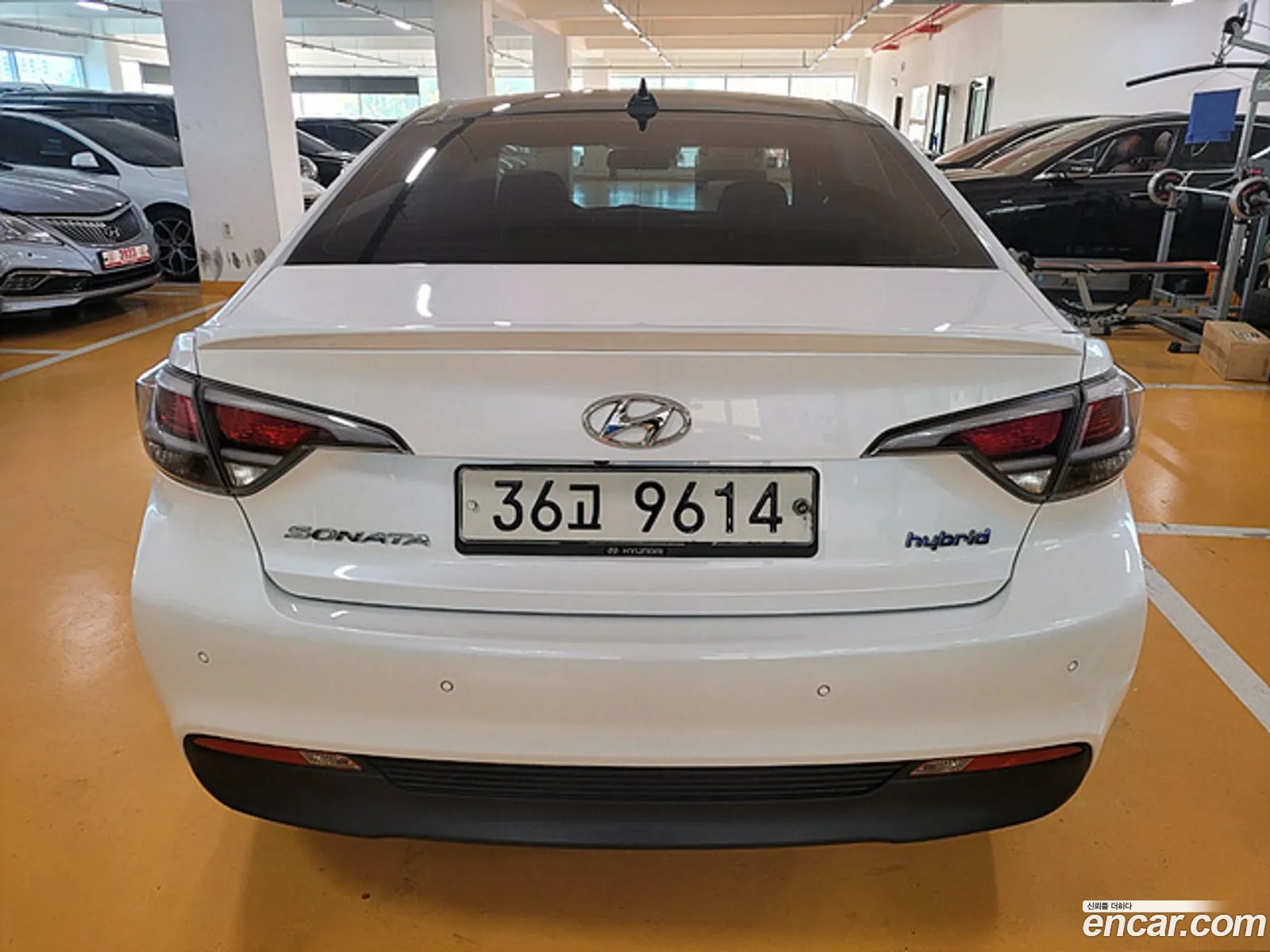 Hyundai Lf Sonata Hybrid 20 Hev Premium - фотография 12749995
