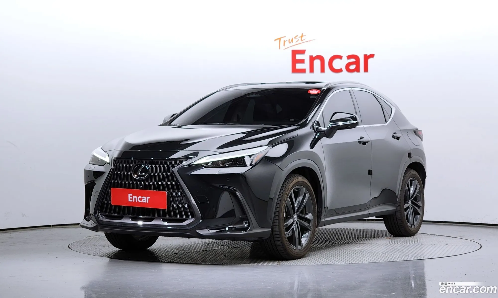 Lexus Nx350H 2Nd Generation Premium - фотография 3936832