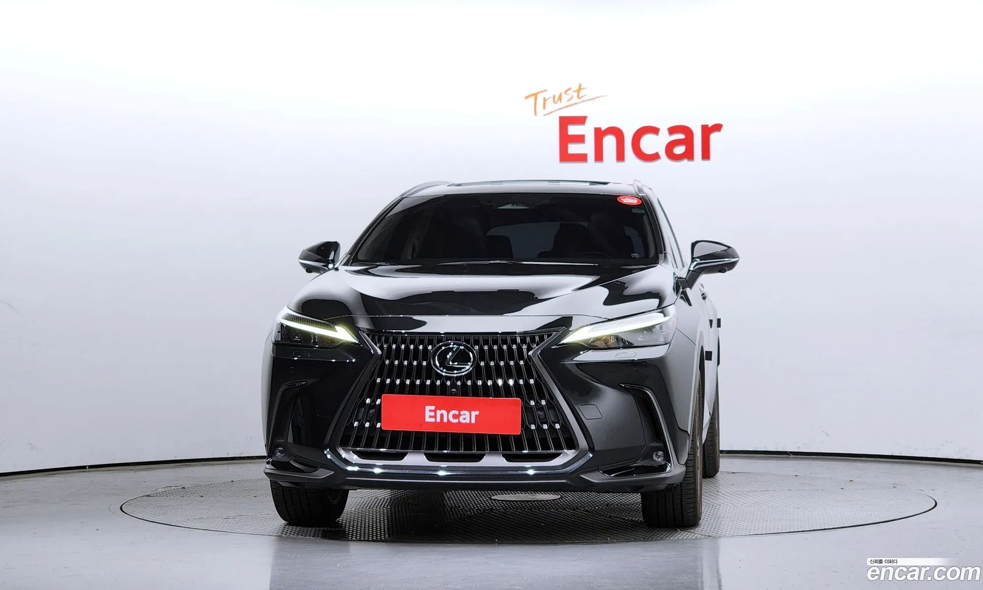 Lexus Nx350H 2Nd Generation Premium - фотография 3936834
