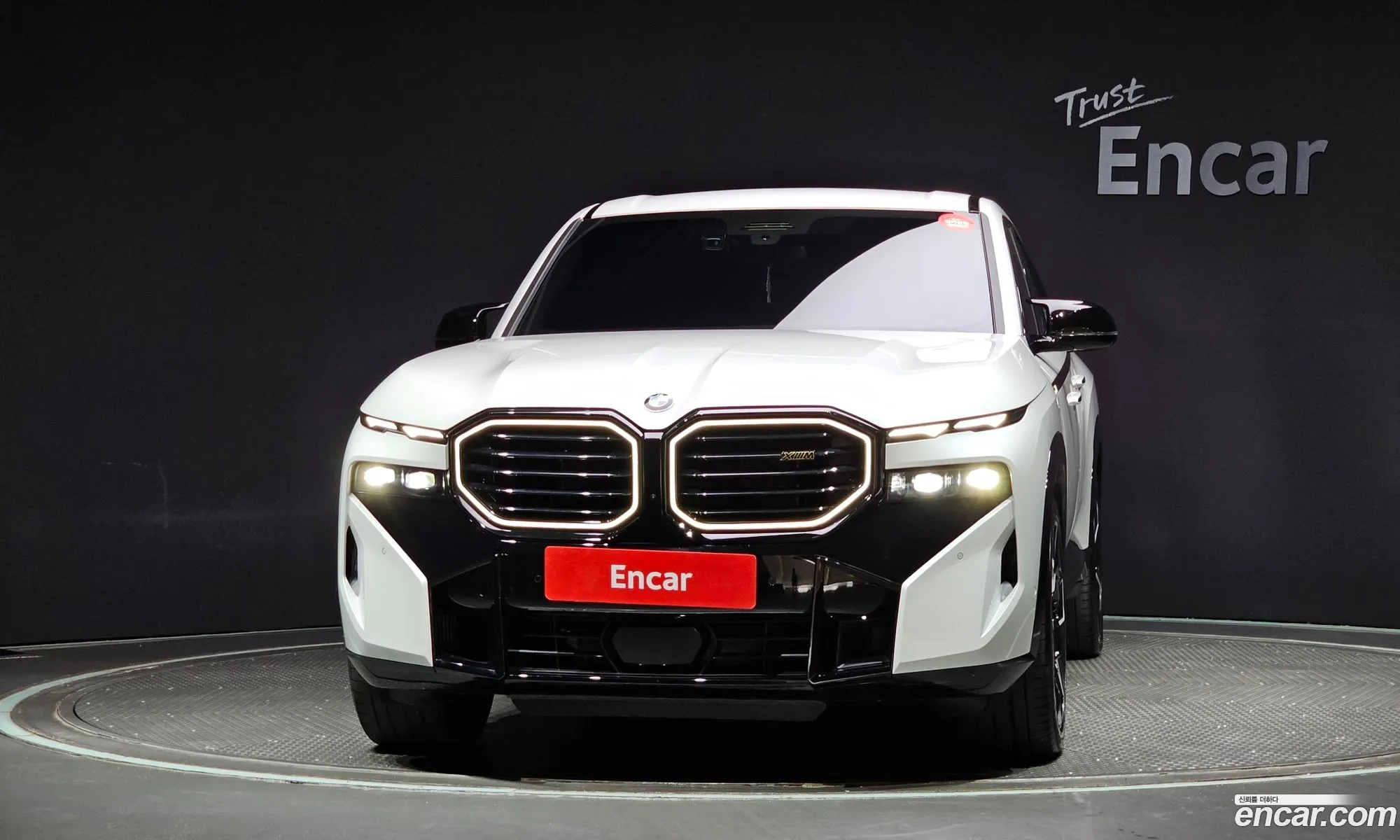BMW Xm 44 2023 - фотография 333462