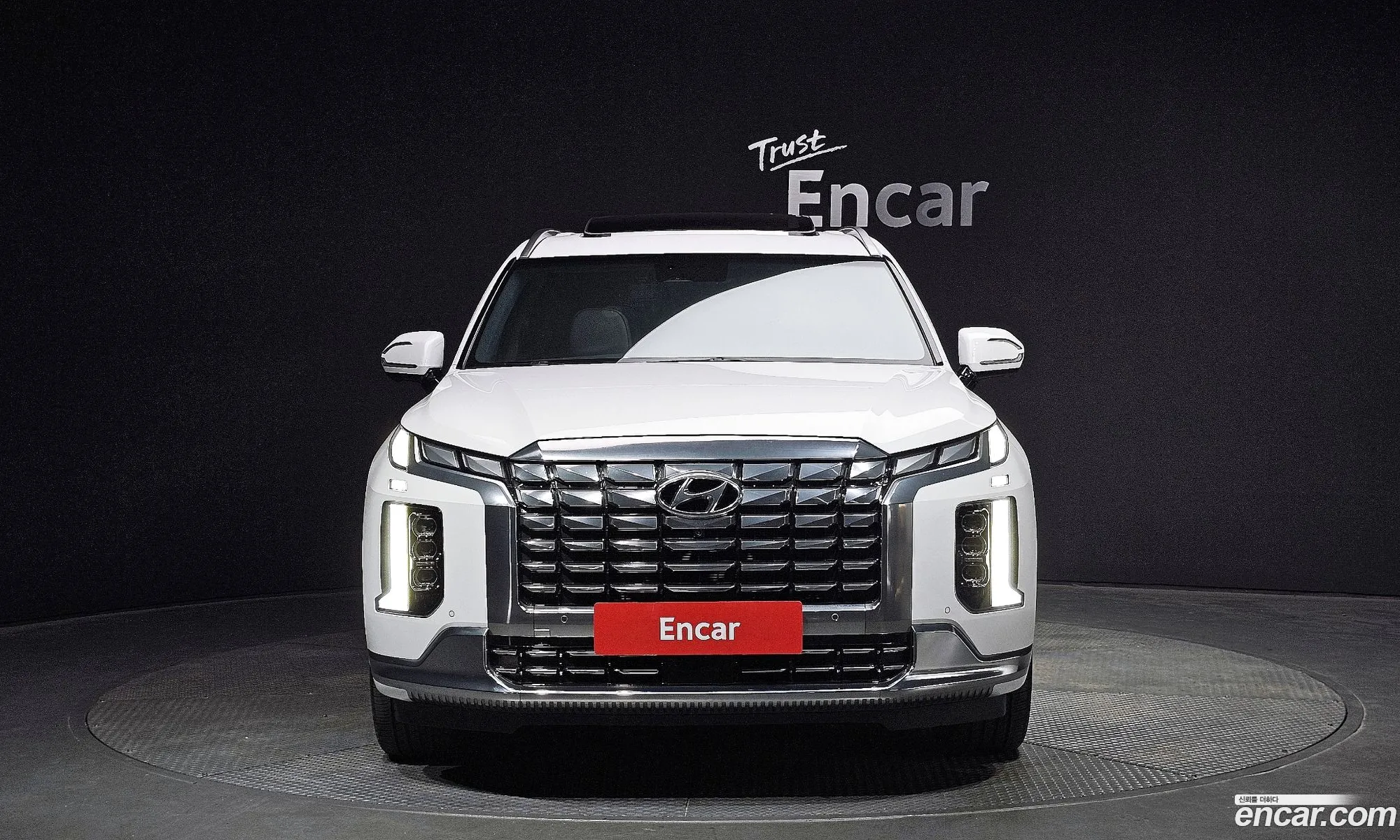 Hyundai The New Palisade Gasoline 38 4Wd Calligraphy - фотография 12576224