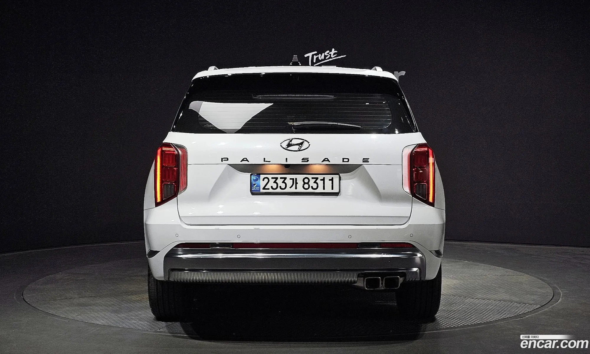 Hyundai The New Palisade Gasoline 38 4Wd Calligraphy - фотография 12576225