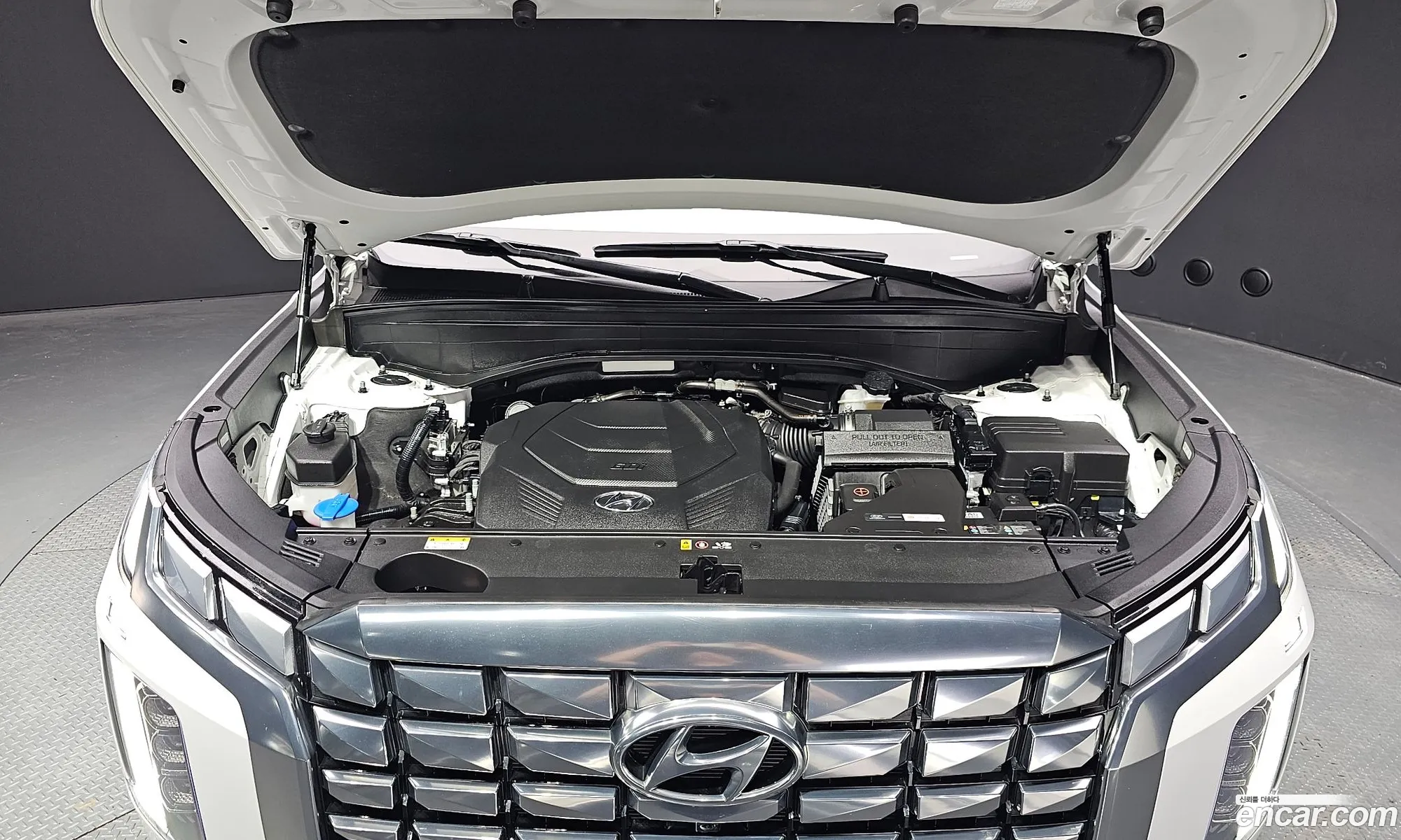 Hyundai The New Palisade Gasoline 38 4Wd Calligraphy - фотография 12576227