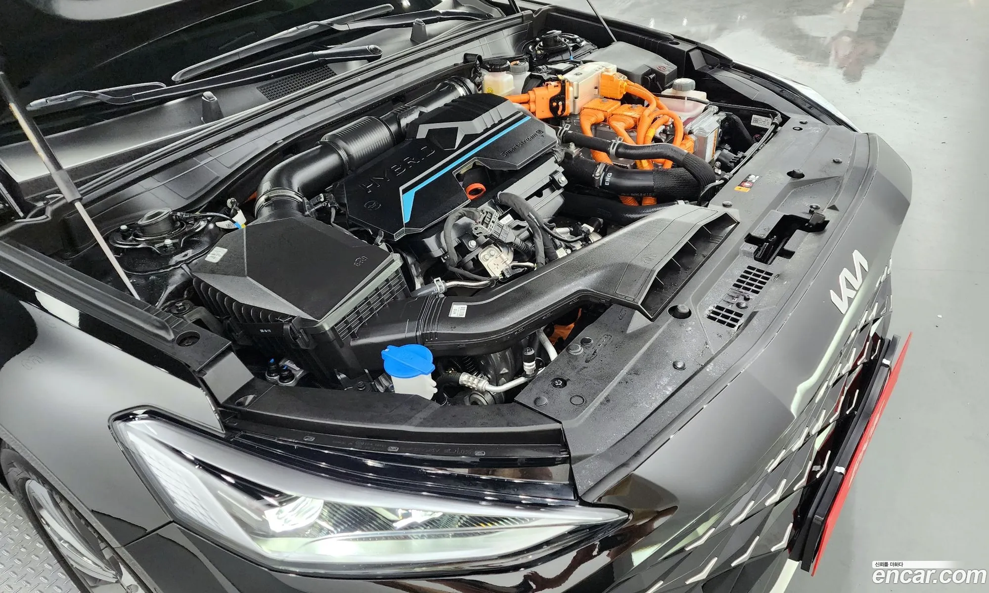 Korex Auto Trade - фотография 11303392