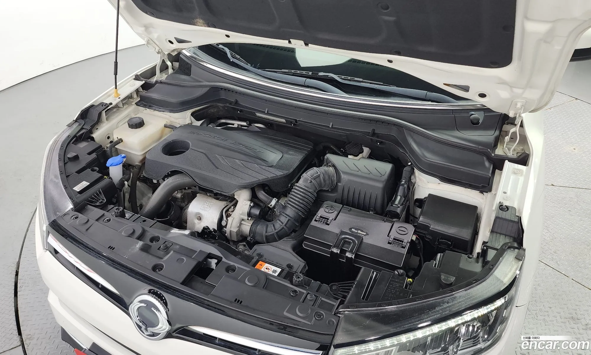 Ssangyong Tivoli Tivoli Gasoline 15 2Wd 2019 - фотография 15160105