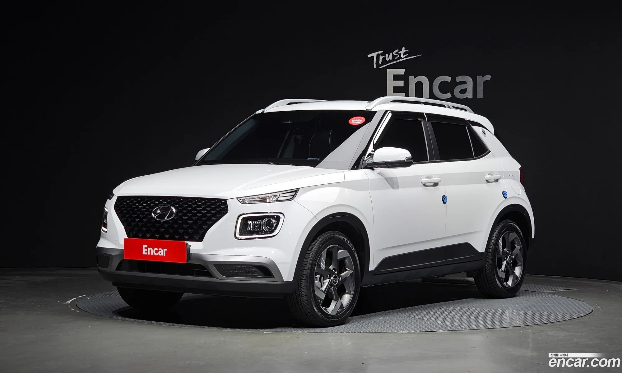 Hyundai Venue 16 Flux 2023 - фотография 14831705