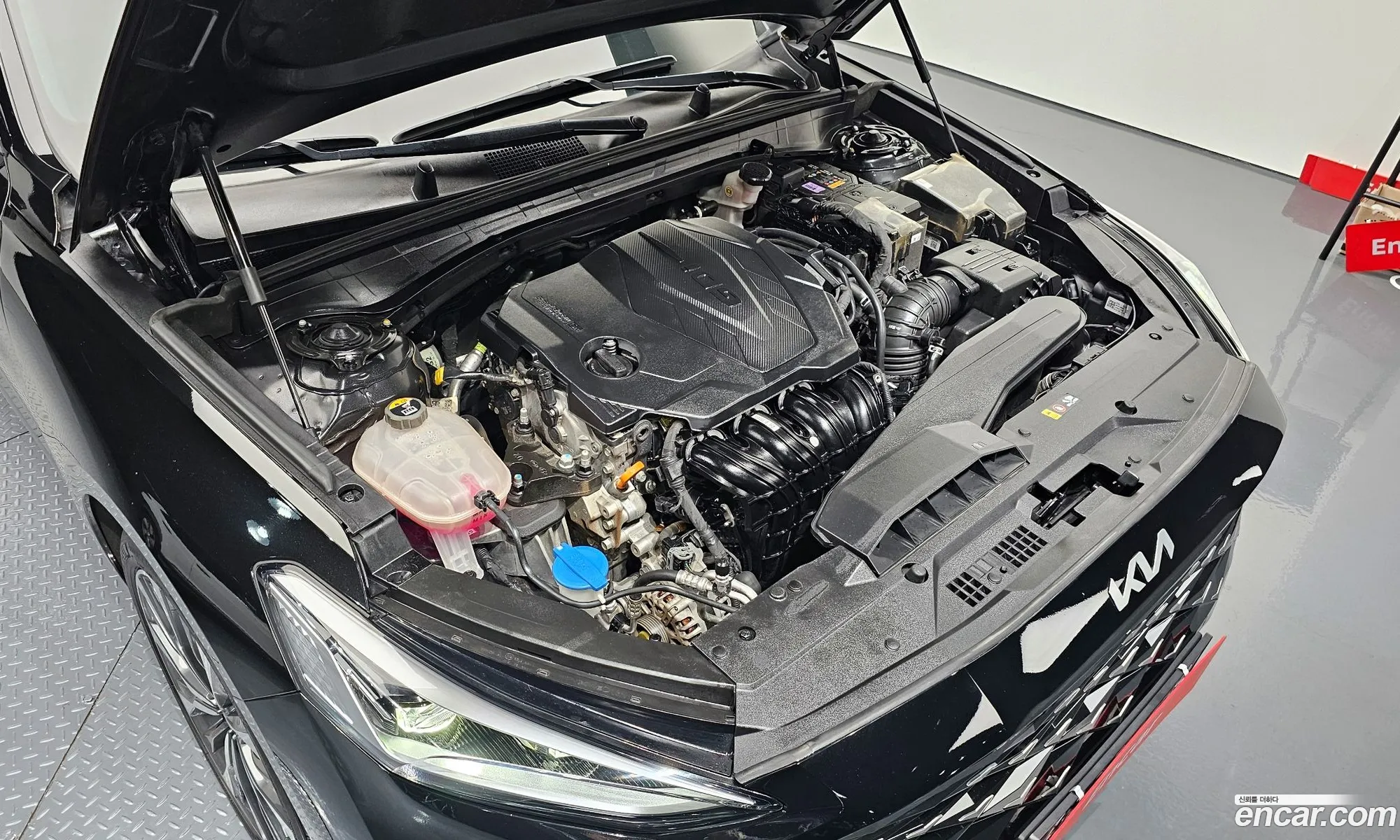 Kia K8 25 Gasoline 2Wd 2022 - фотография 11893986
